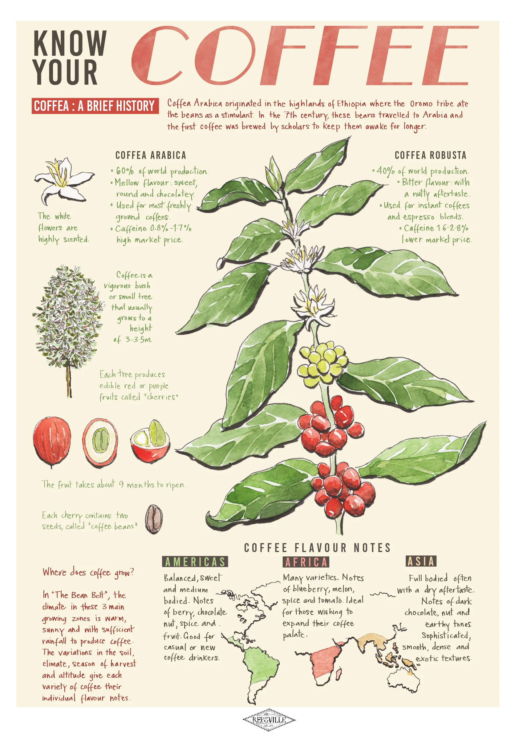 final fruit prints-03.jpg