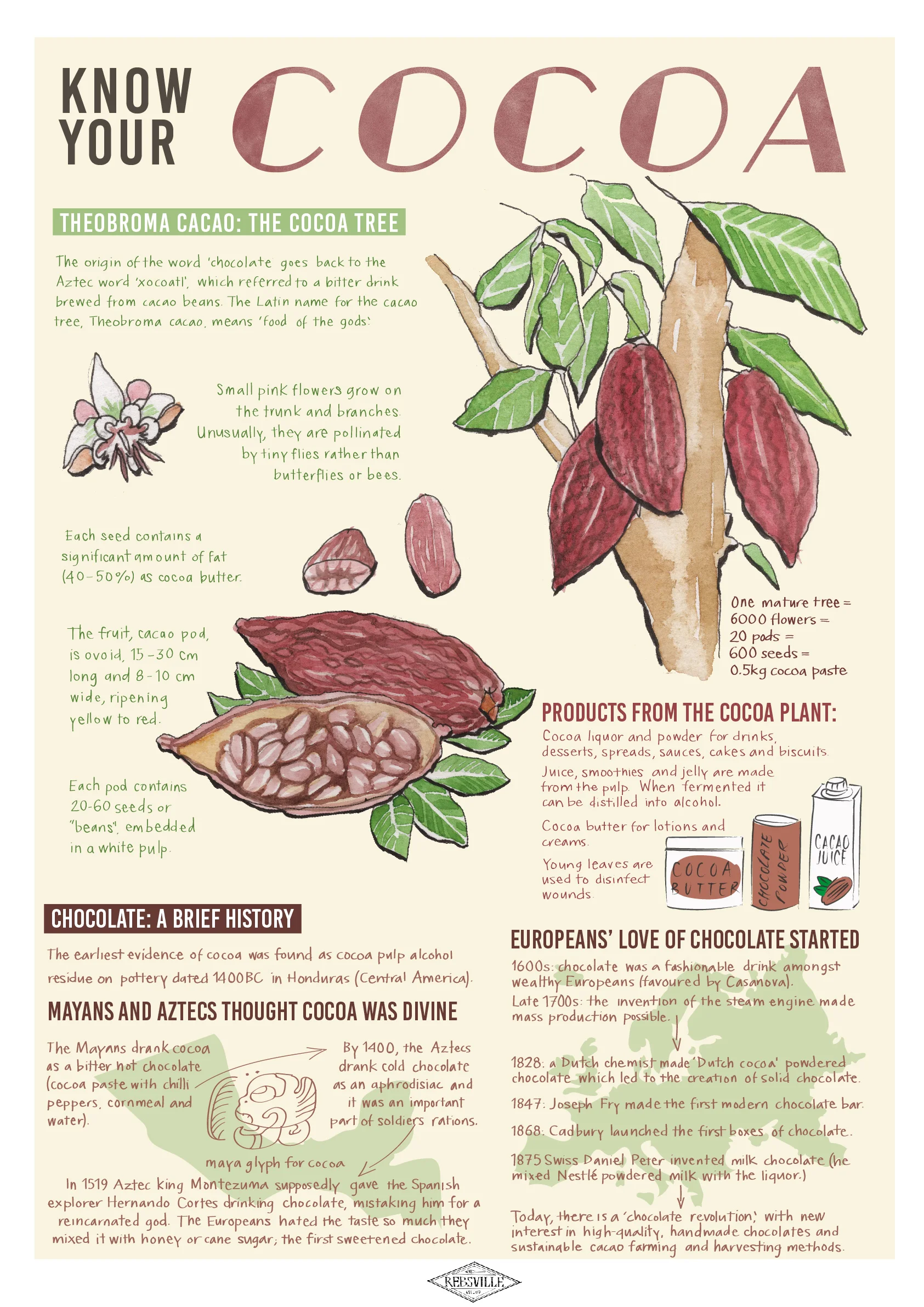 final fruit prints-02.jpg