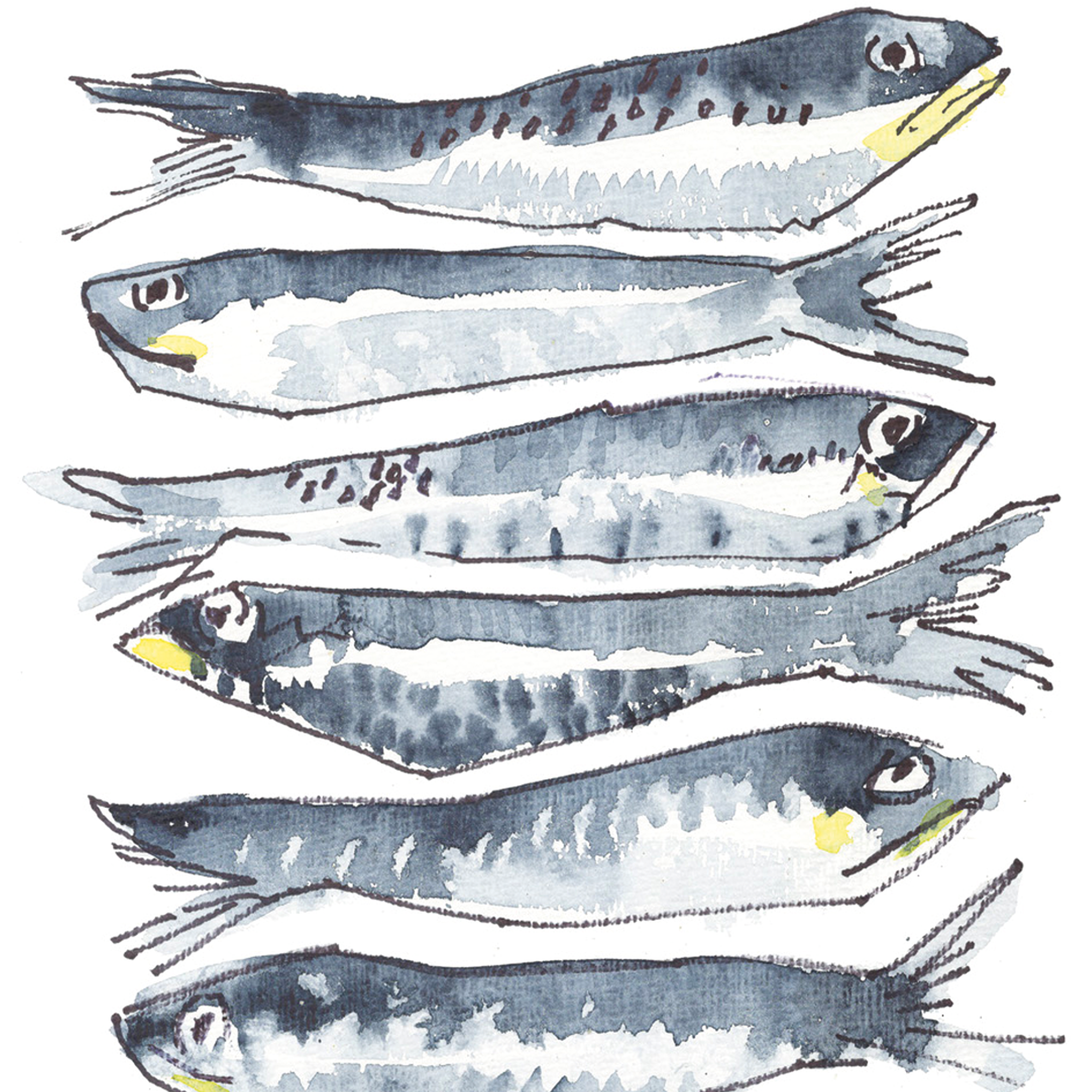 rebsville-eat-sardines-print-zoom.png