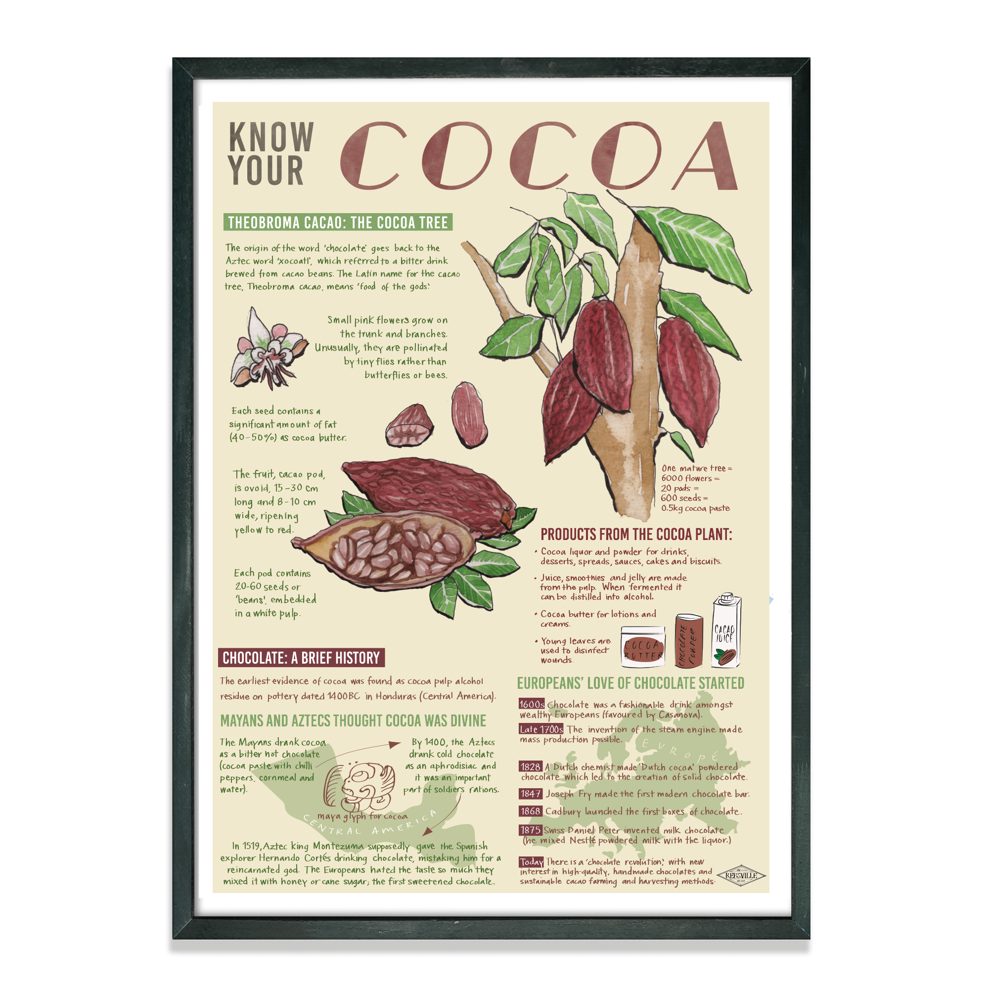 'KNOW YOUR COCOA' INFOGRAPHIC ART PRINT
