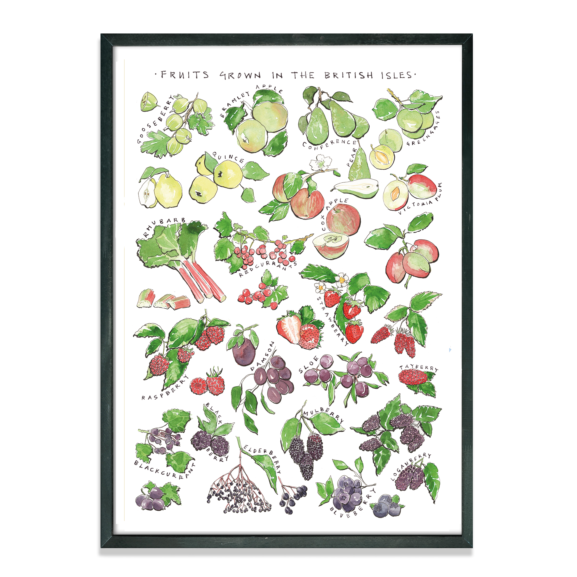 'FRUIT GROWN IN THE BRITISH ISLES' ART PRINT