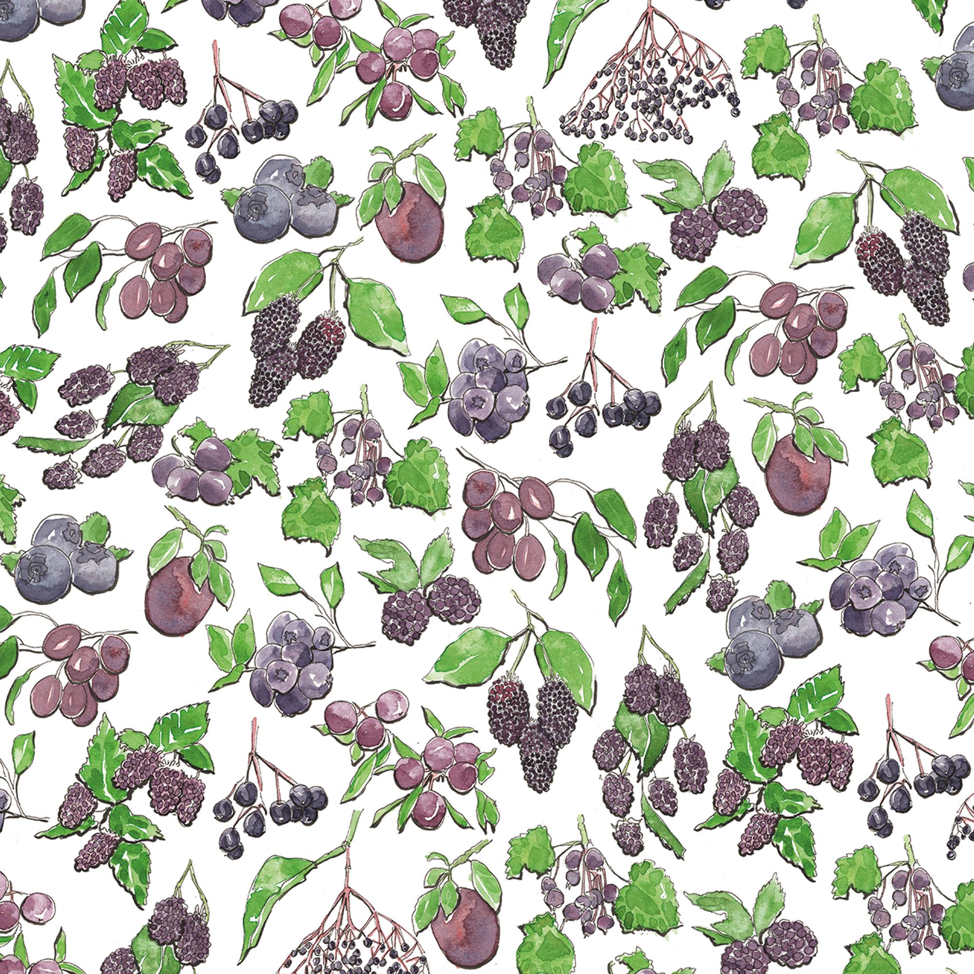 rebsville-wrap-purple-fruit-wrap.png