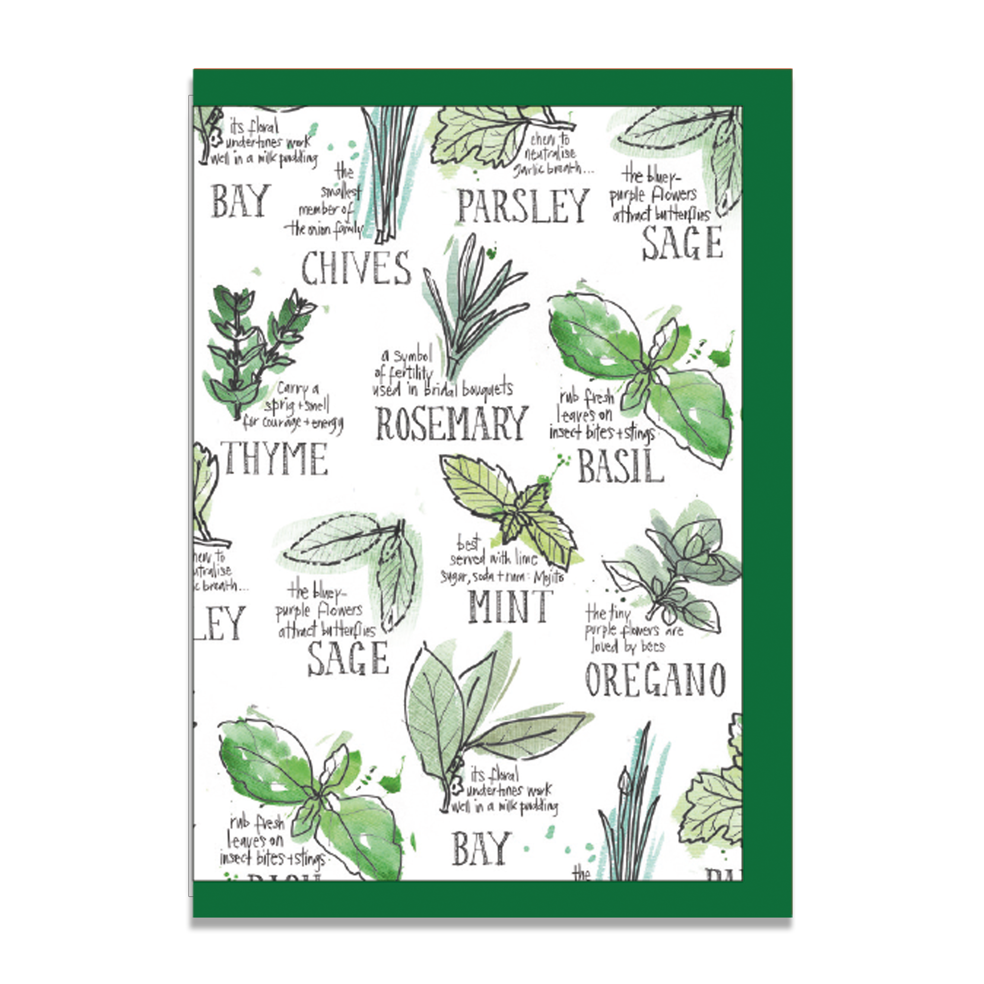 rebsville-eat-herbs-greeting-card.png