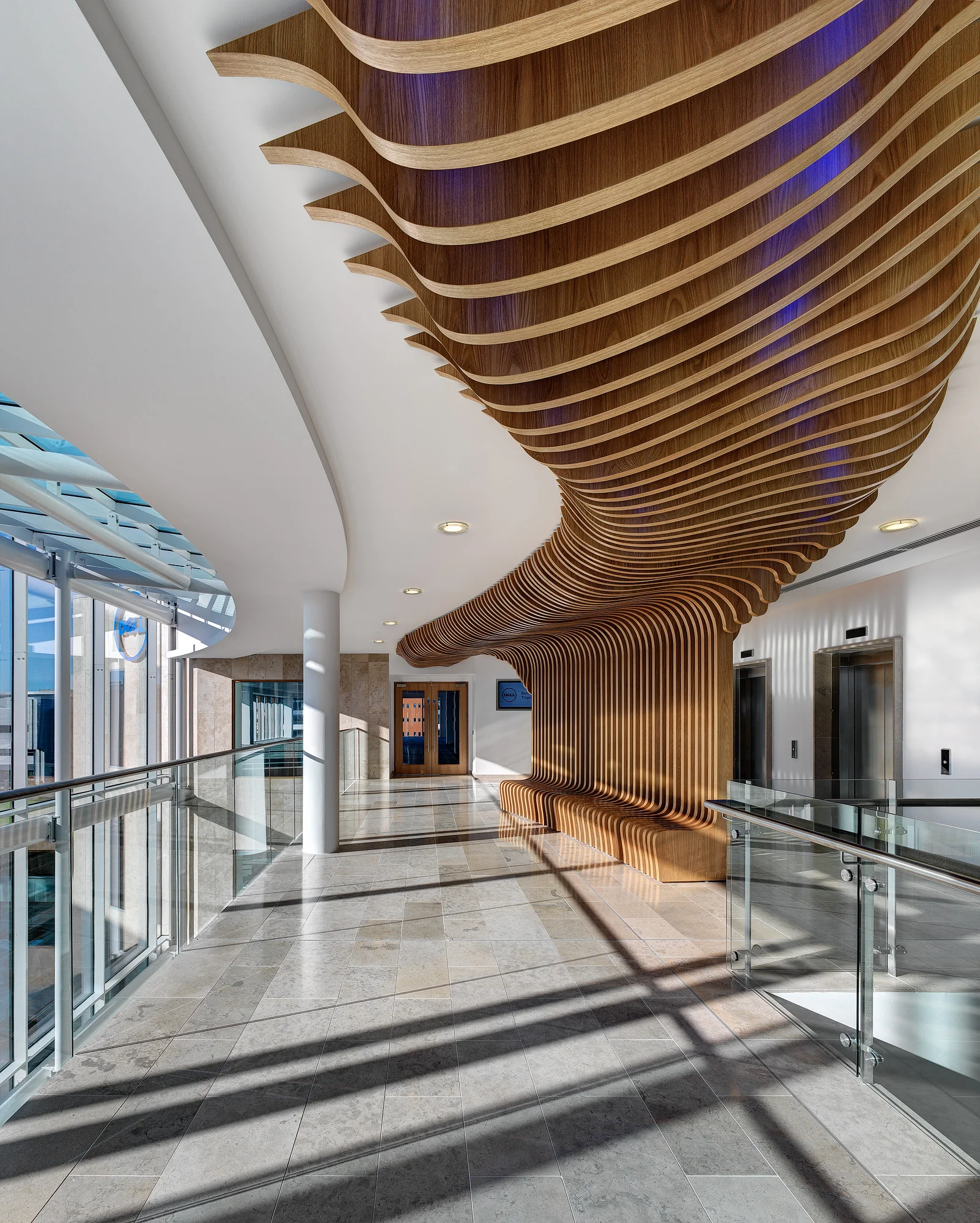 AWARD WINNING TREE, DELL, MAHON POINT, CORK, 2014