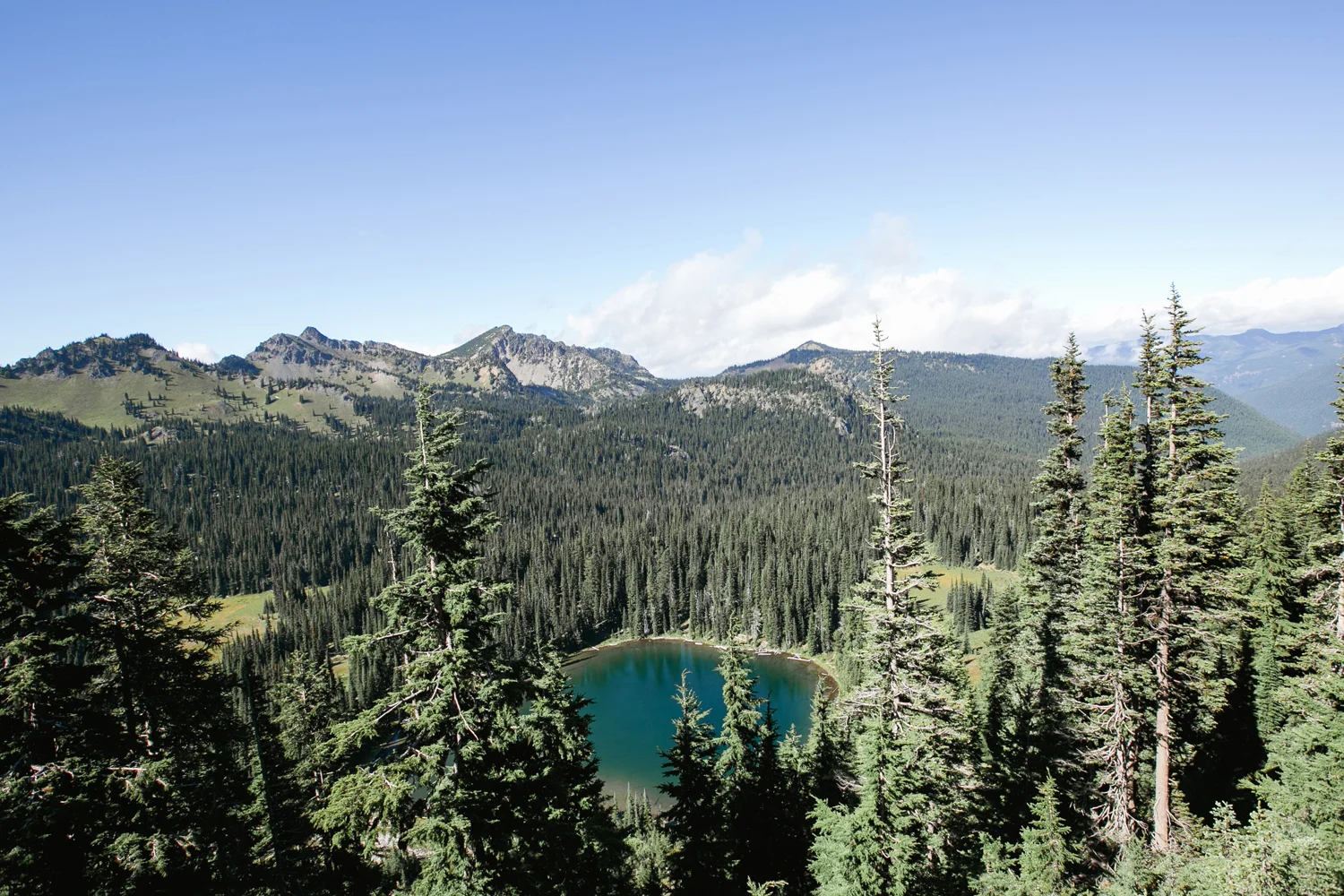 Mt. Rainier, Washington