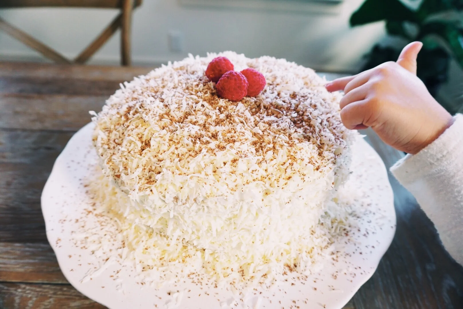 Chocolate Chip Coconut Cake