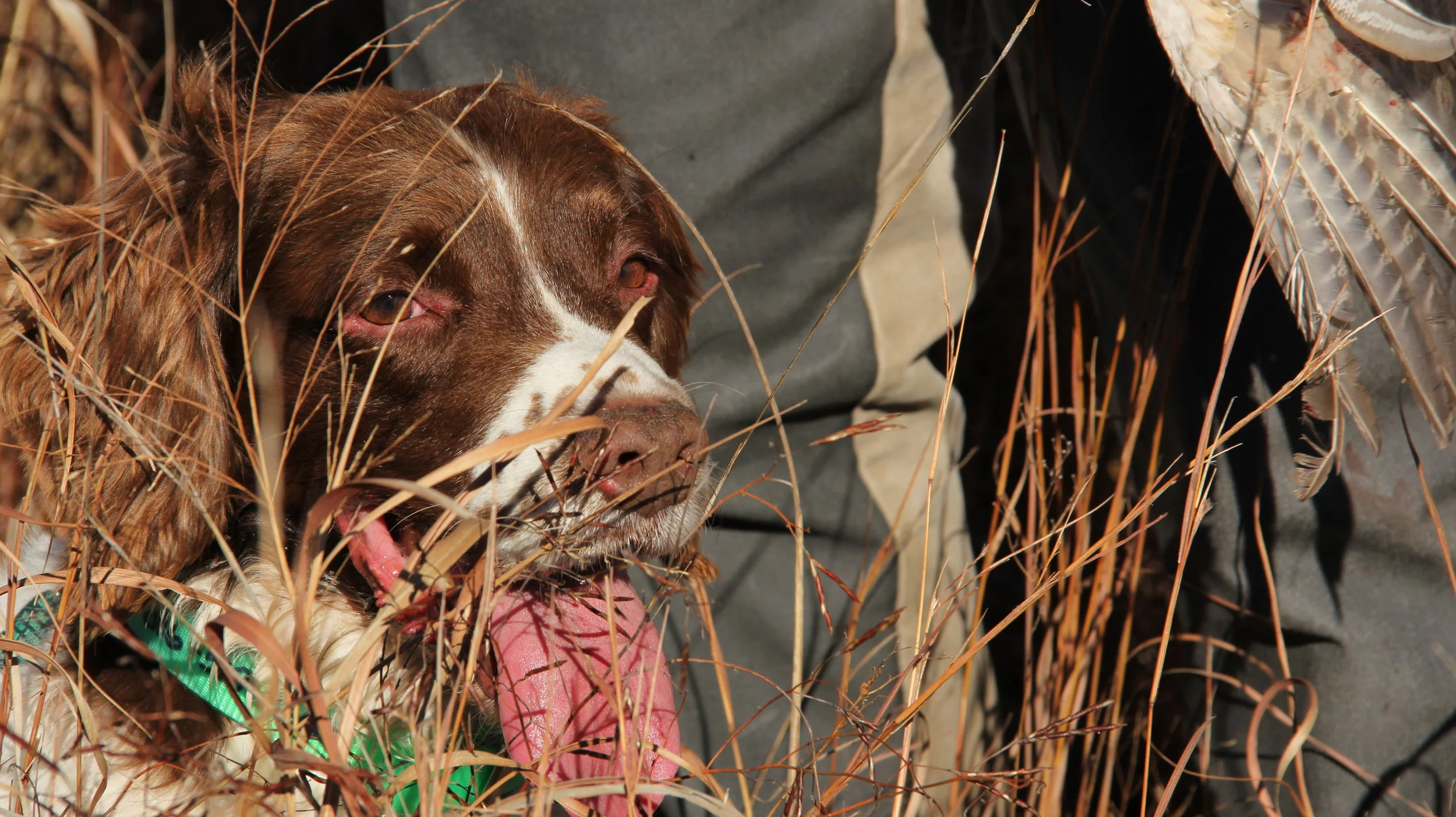 Copy of IMG_8678.JPG