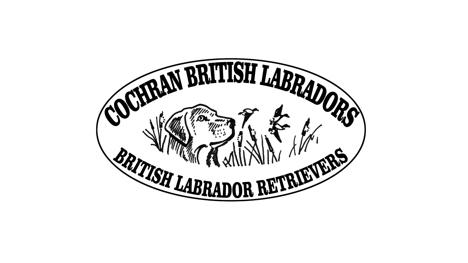 Cochran British Labs