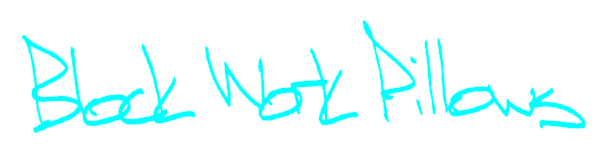 Block_Work_Pillows.png
