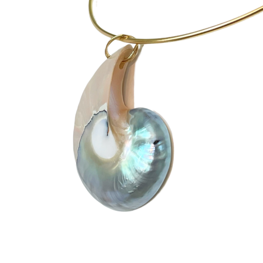 JPEG image-AFCCD17AF1F1-1-fotor-202504141728.png