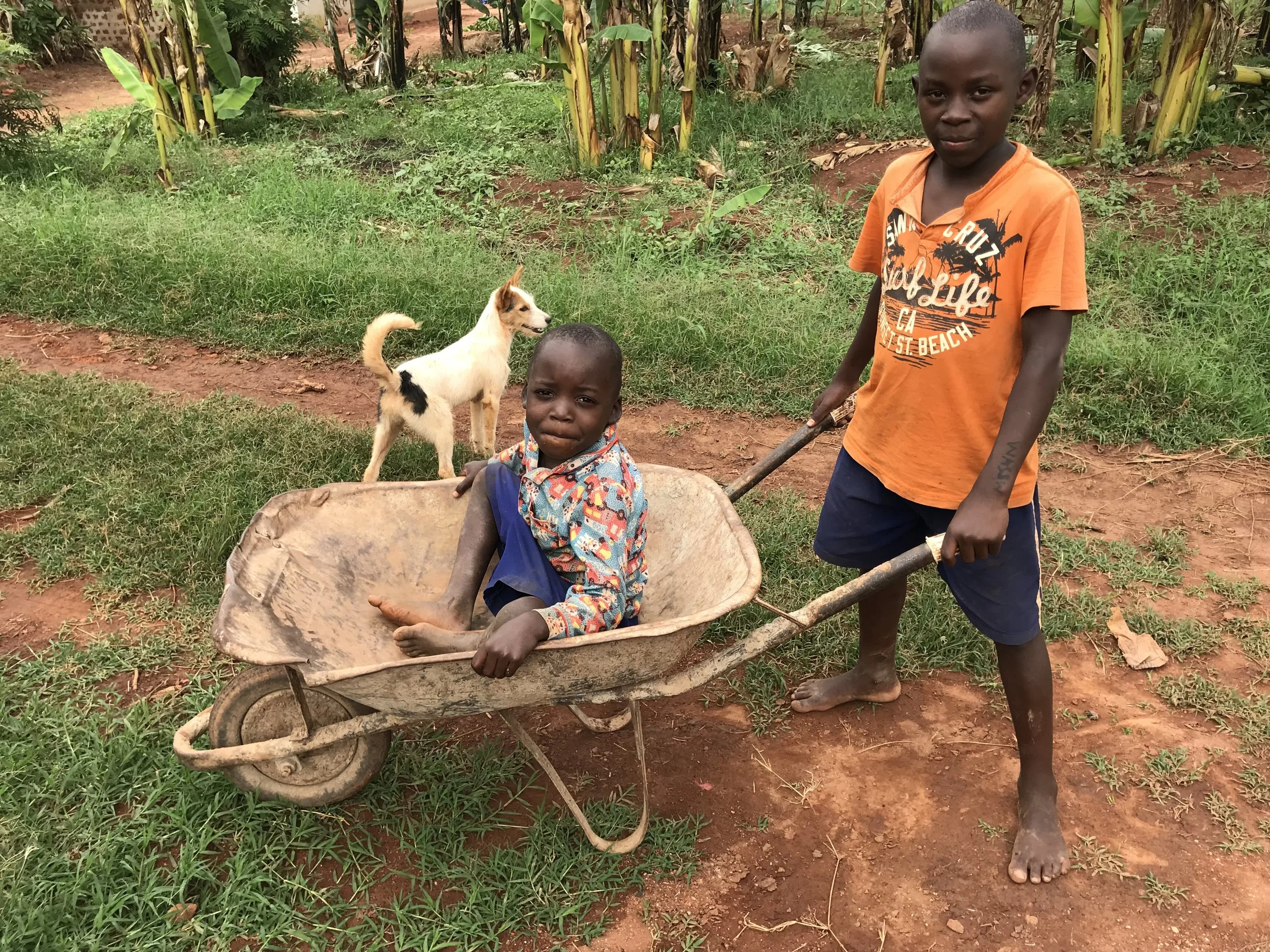Blog Day 7wheelbarrow boys.jpg