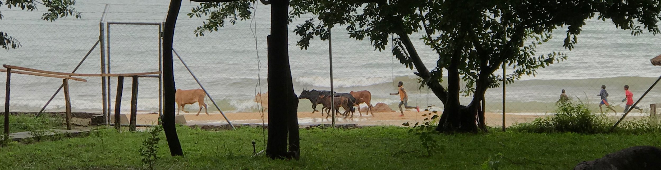 Malawi Day 8.jpg