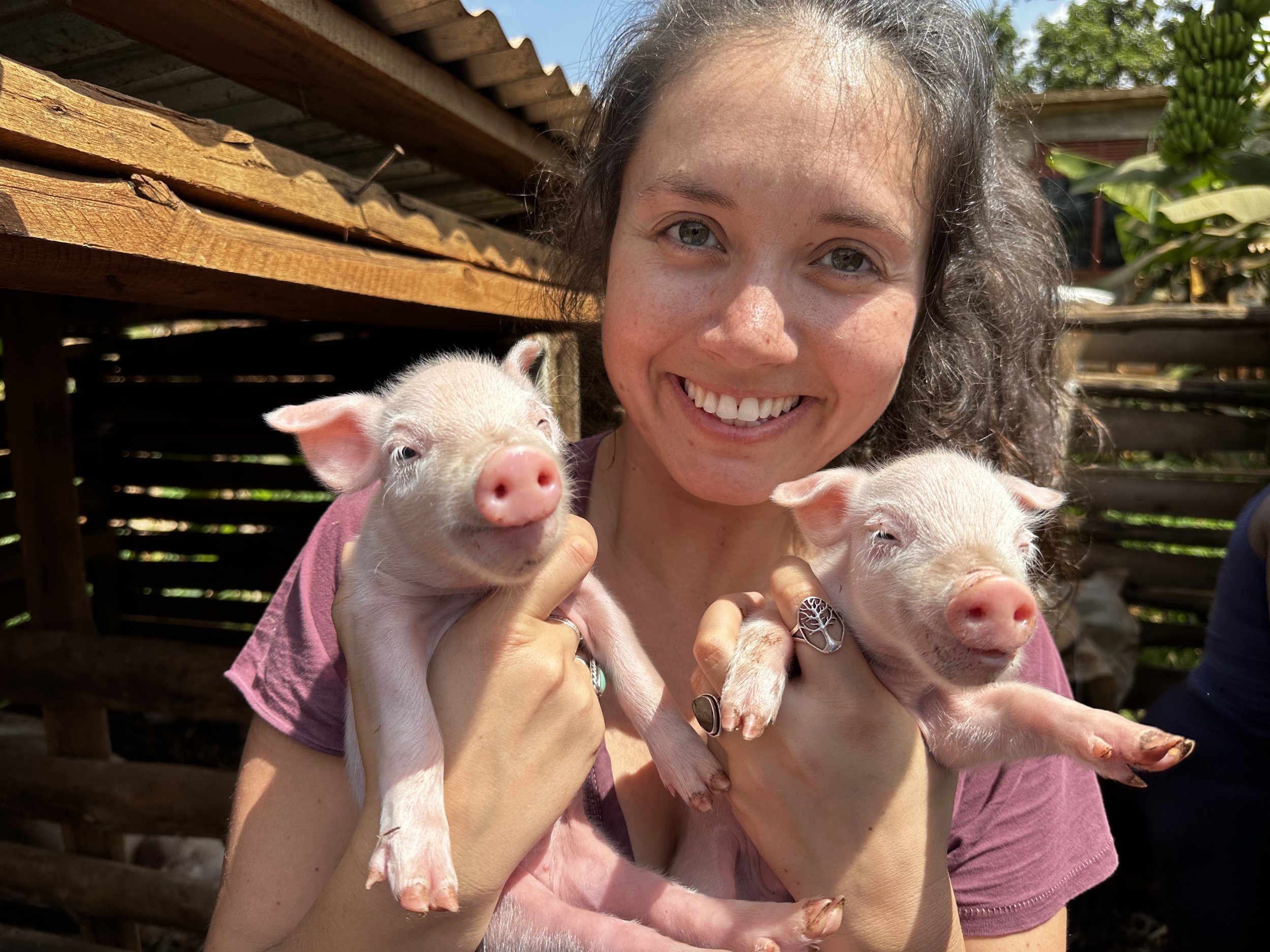 Charlotte with piglets.jpg