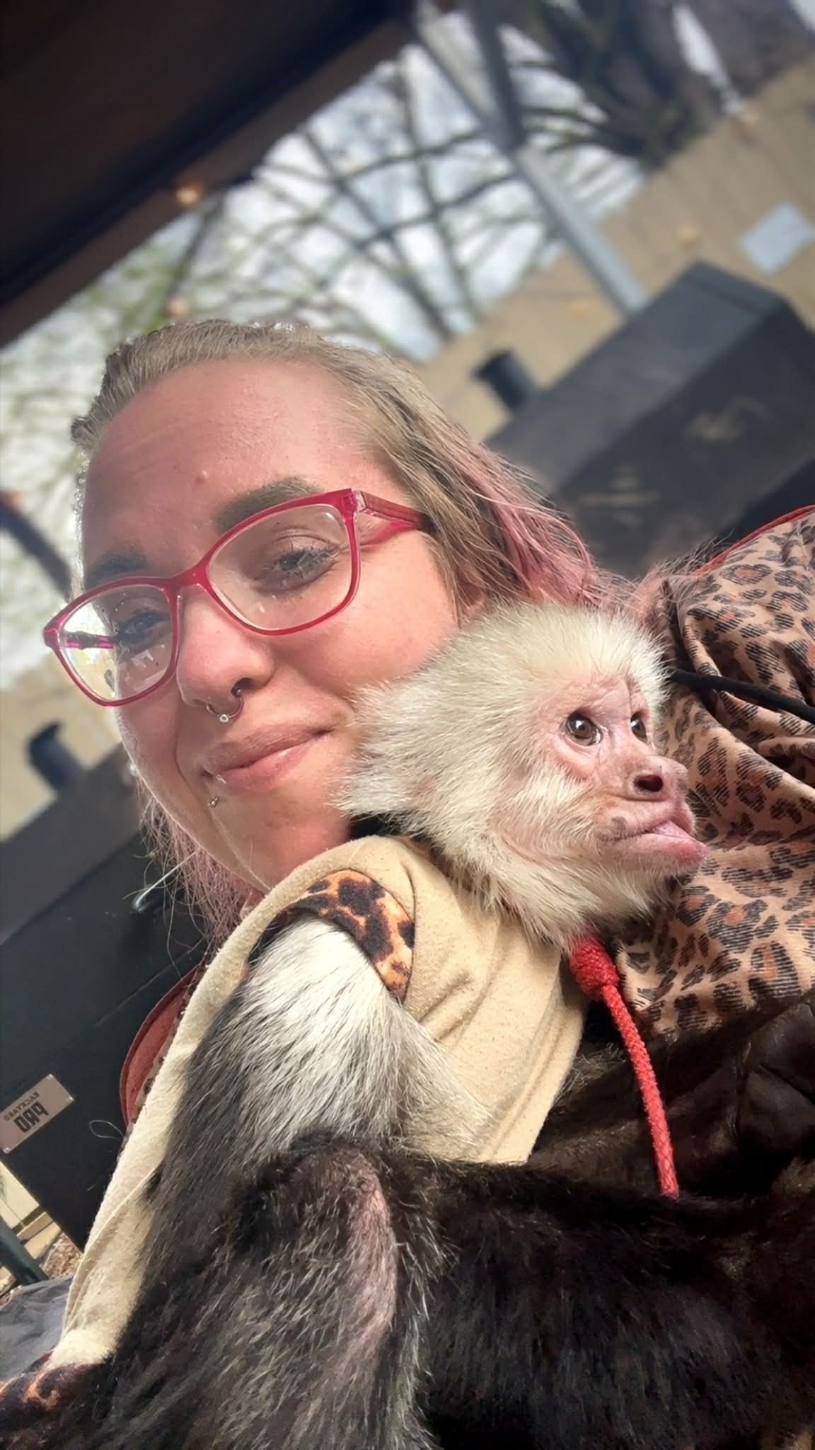 711192a1-0821-4635-9007-7d066a7486fe (1).jpeg