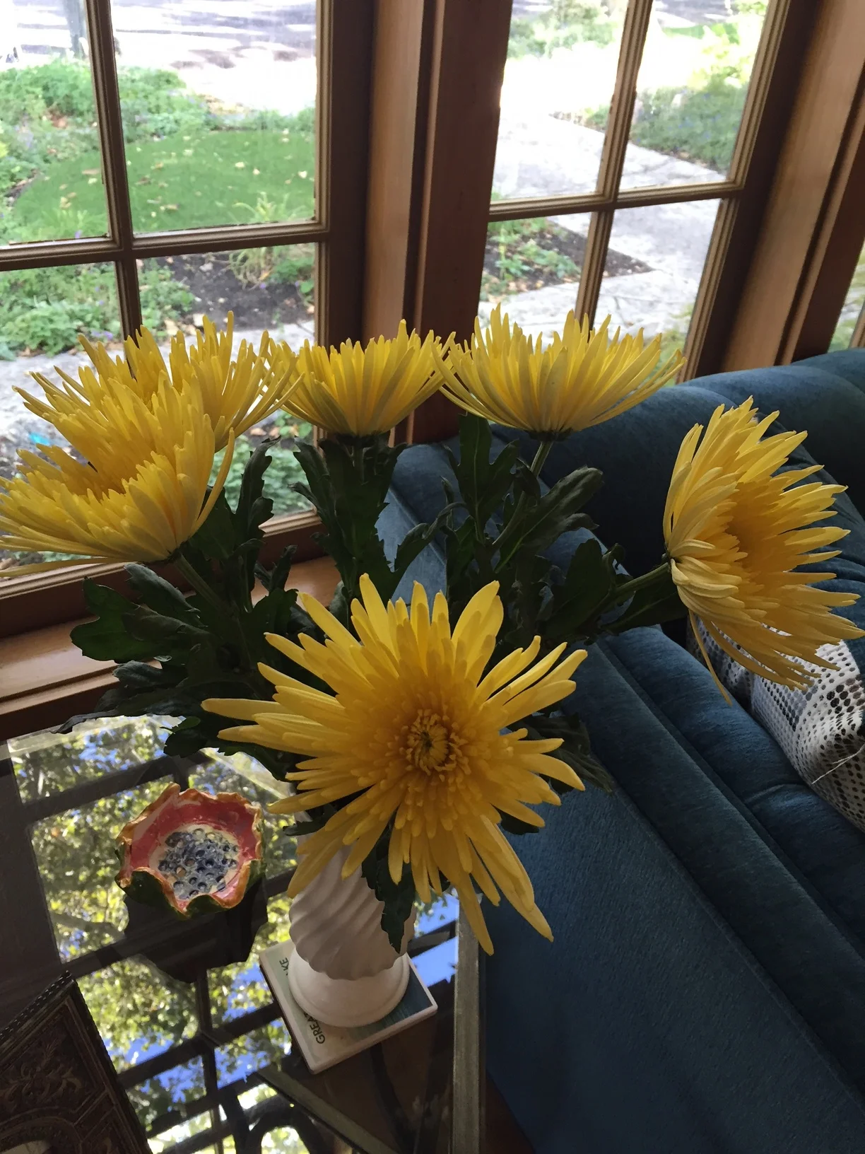 And I don't know what these are called, but they're a little ray of sunshine ...