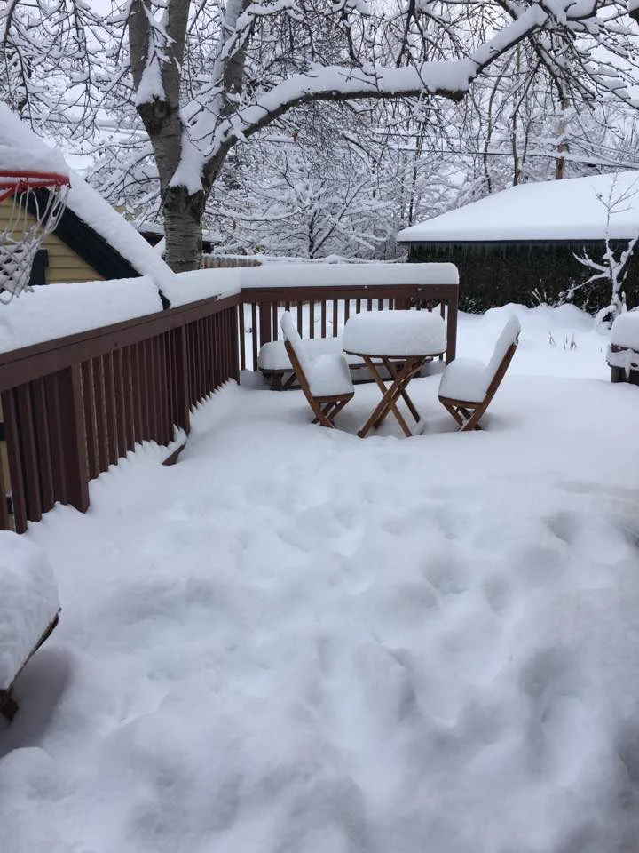 The foot of snow that fell on Christmas Eve and well into Christmas Day.