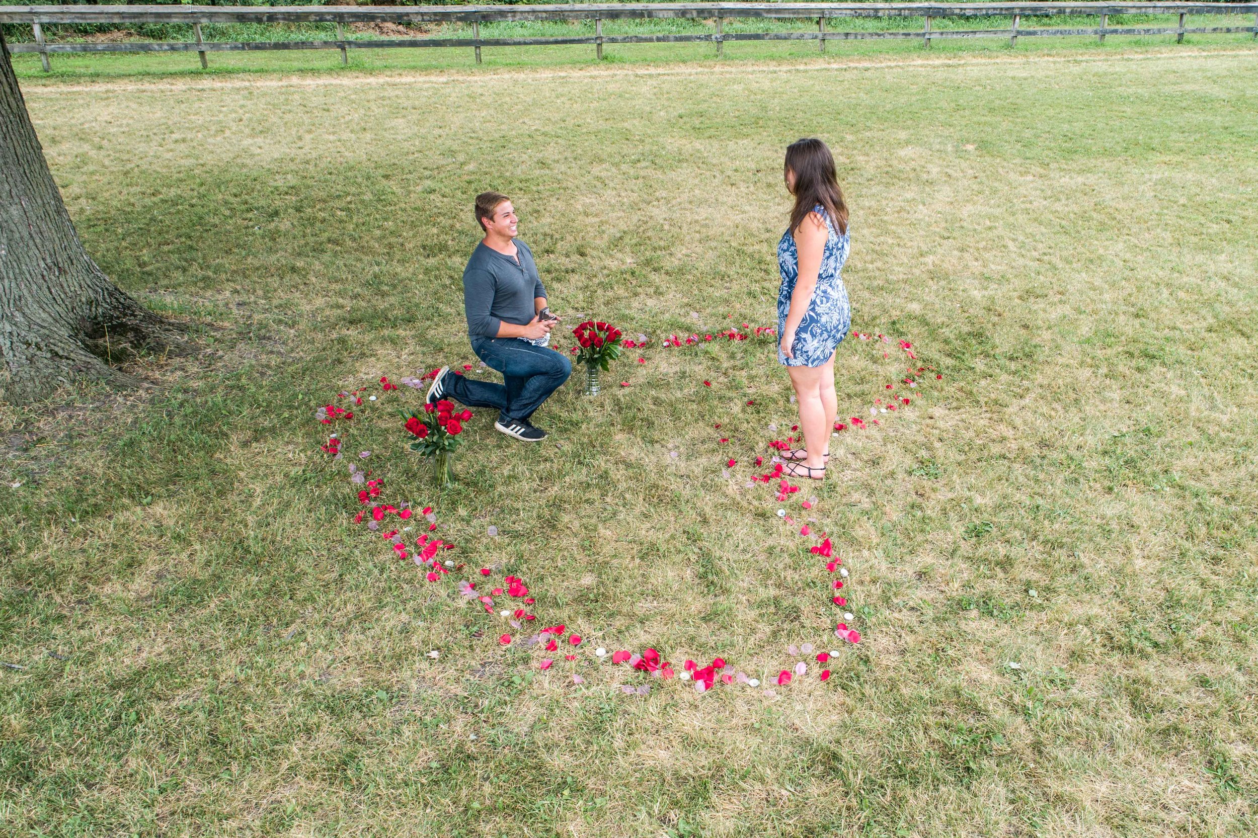  aerial photo of man proposing to his girlfriend in the center of a heart made of flower pedals 