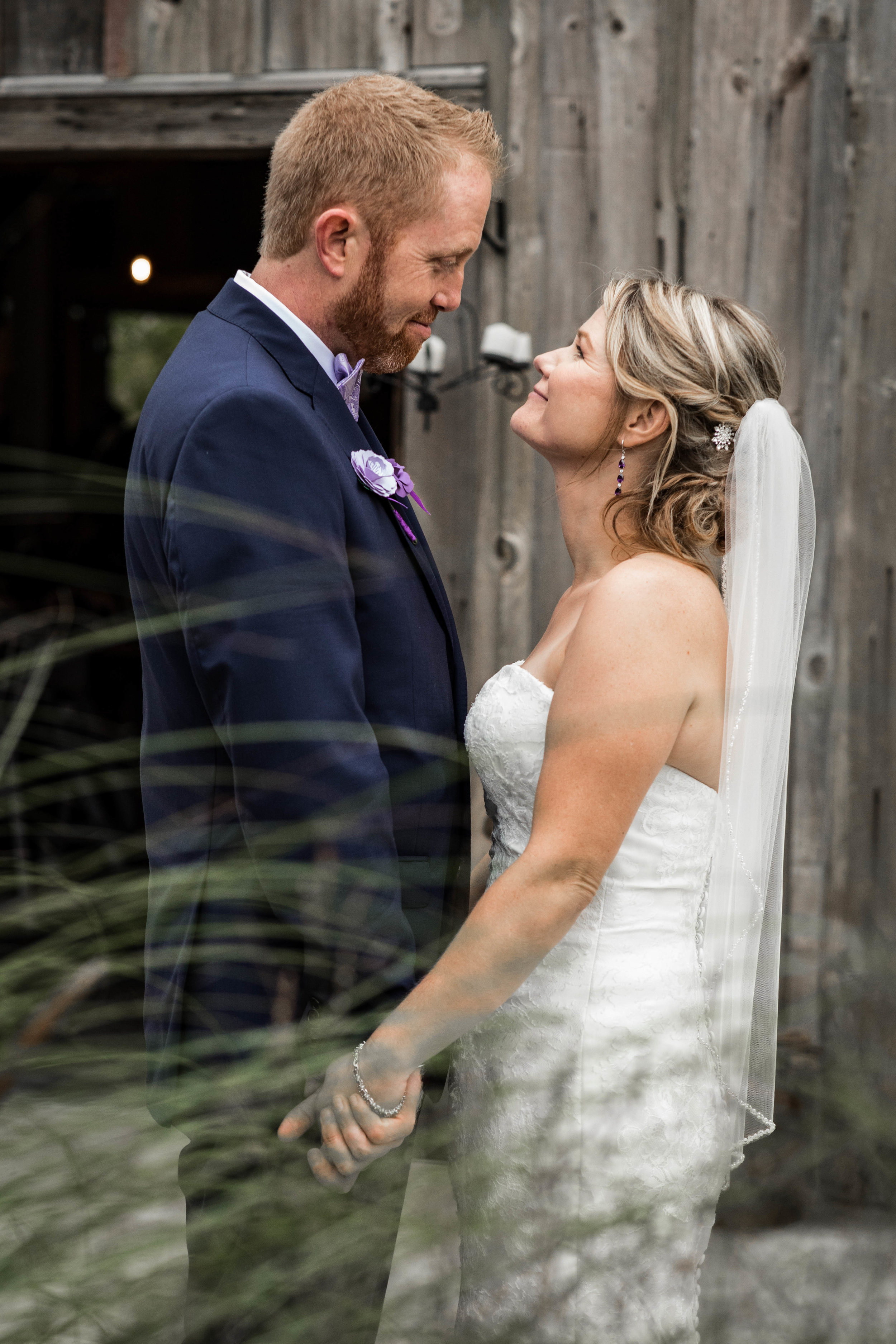  Bride and groom portrait with tall grass in front of them and a rustic barn behind 