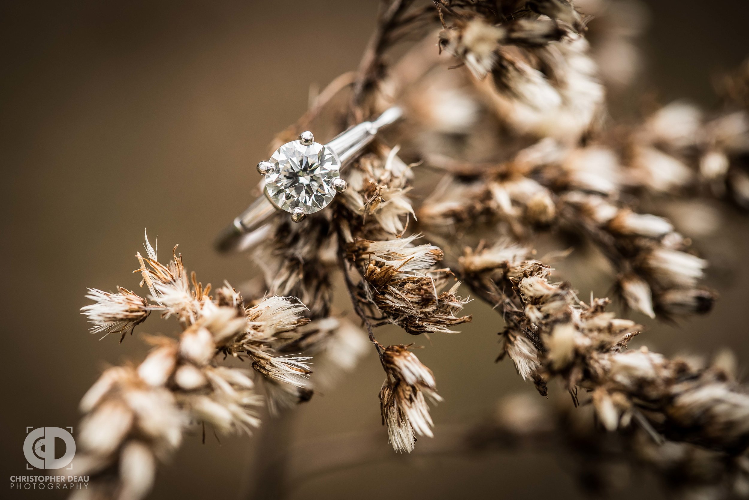  Macro engagement ring photo in a tall grass prairie 