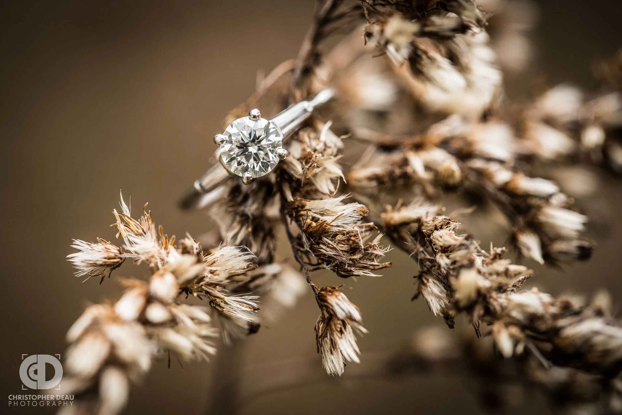 Macro engagement ring photo in a tall grass prairie
