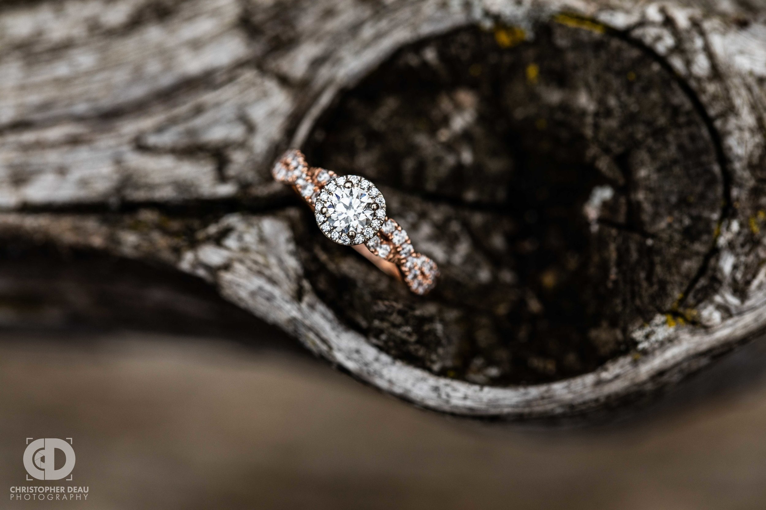  close up ring photo in a knot on a wooden fence 