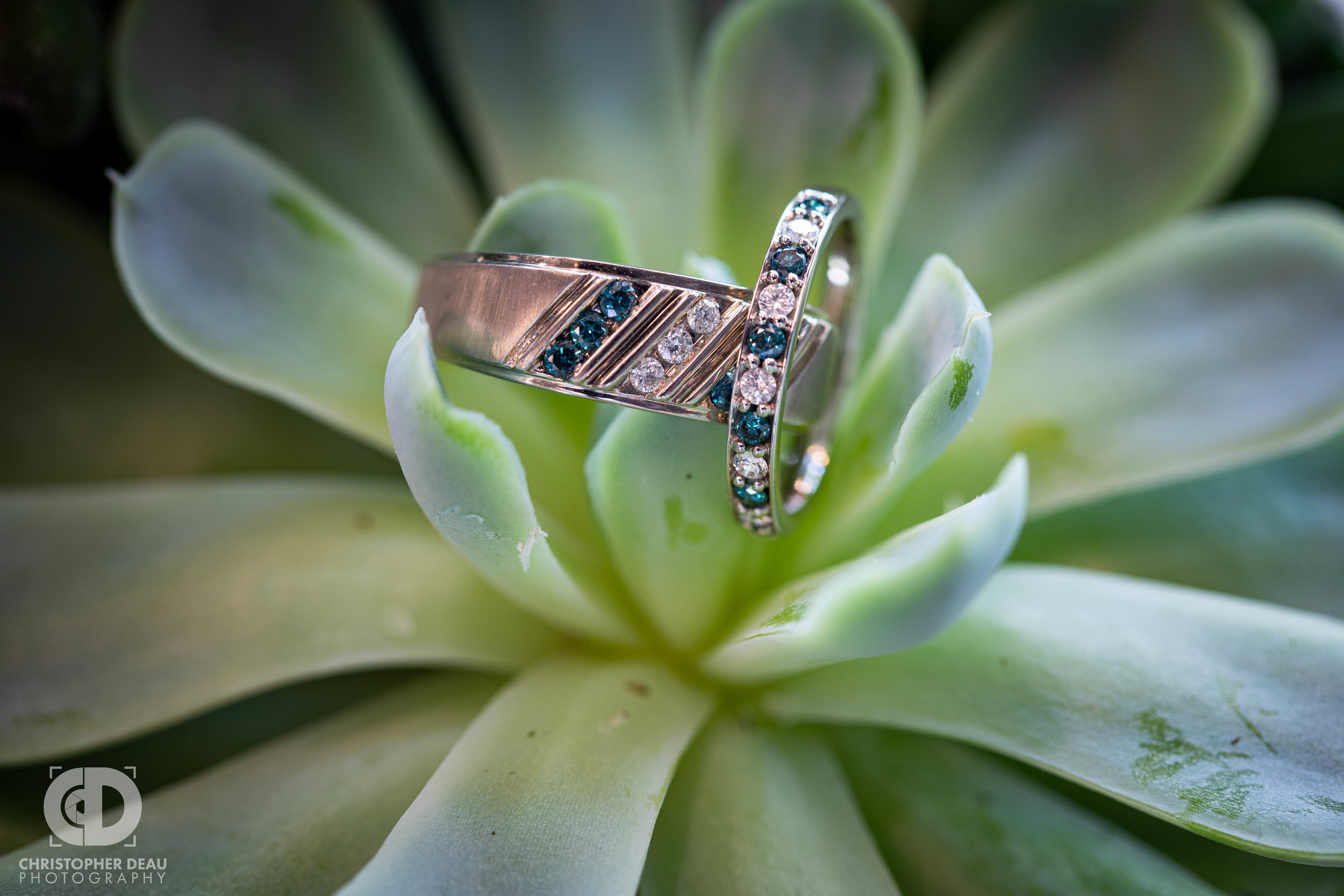  close up wedding ring on succulent  