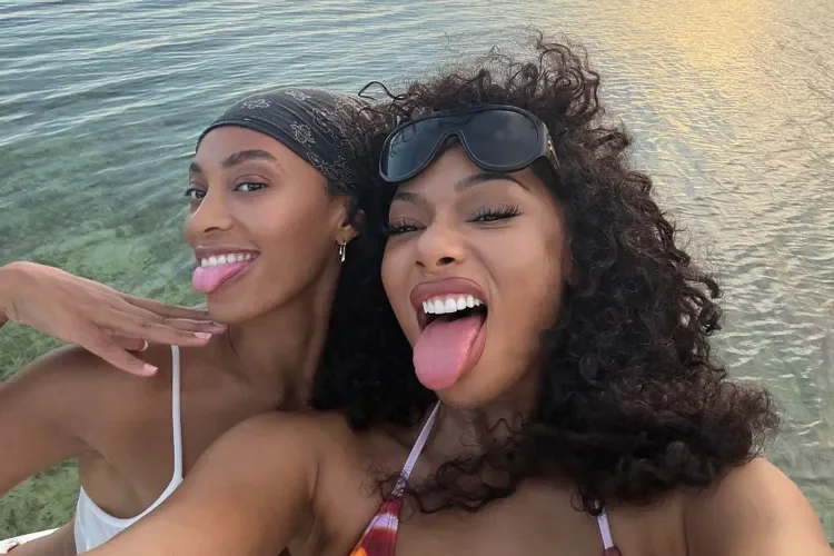 Megan Thee Stallion &amp; Solange Knowles Just Gave Us the Ultimate Hot Girl Summer Link-Up
