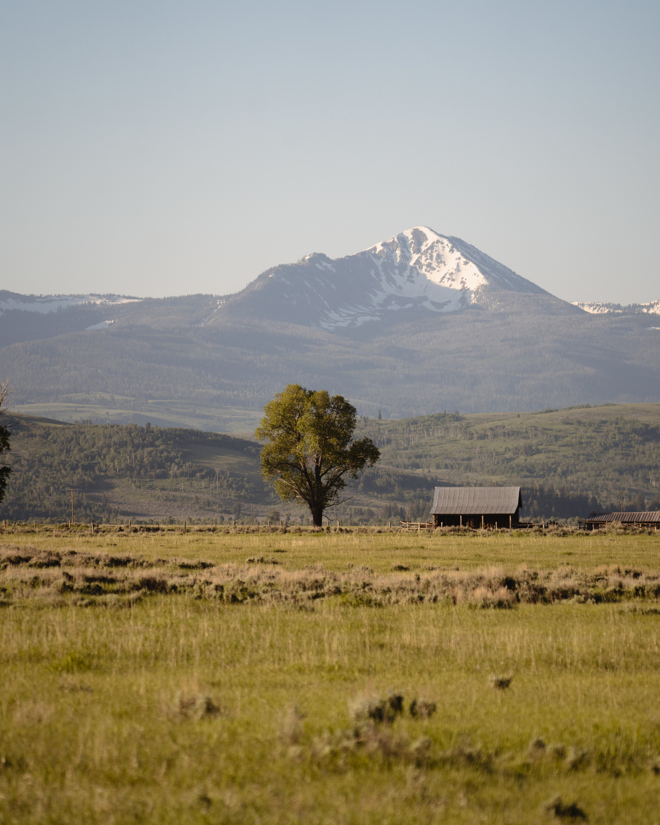 Tetons25 (1 of 1).jpg