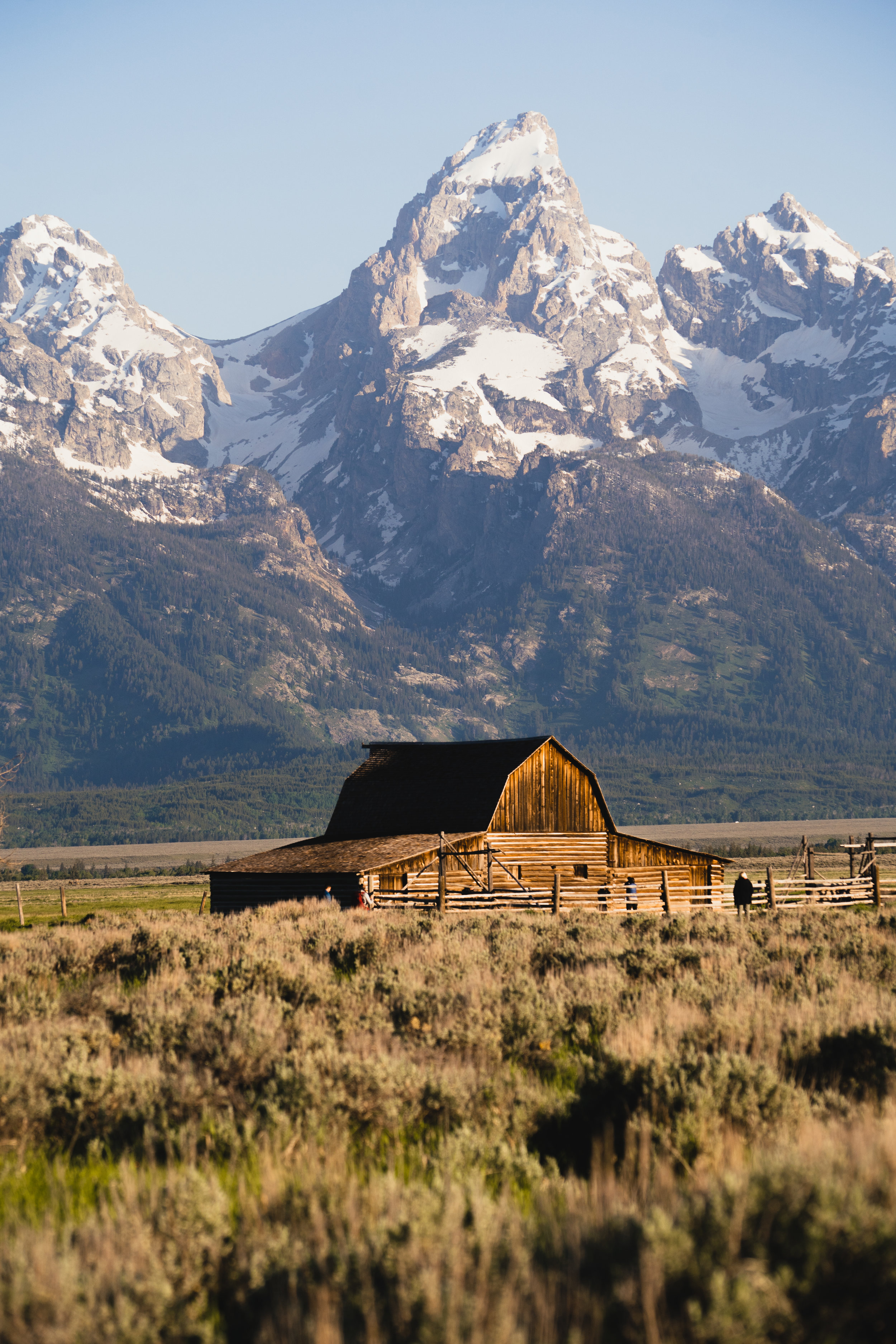 Tetons31 (1 of 1).jpg