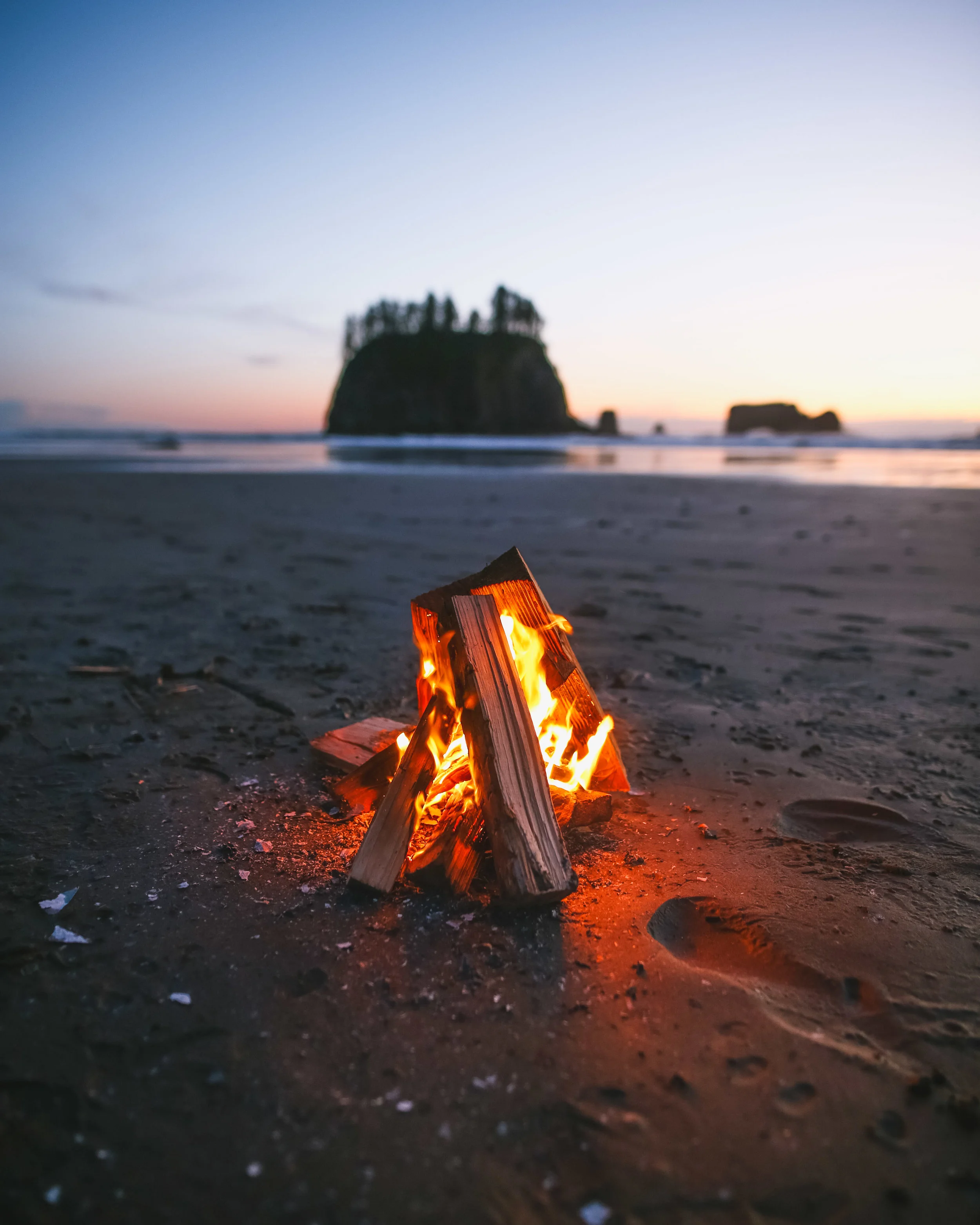 PNW (5 of 7).jpg