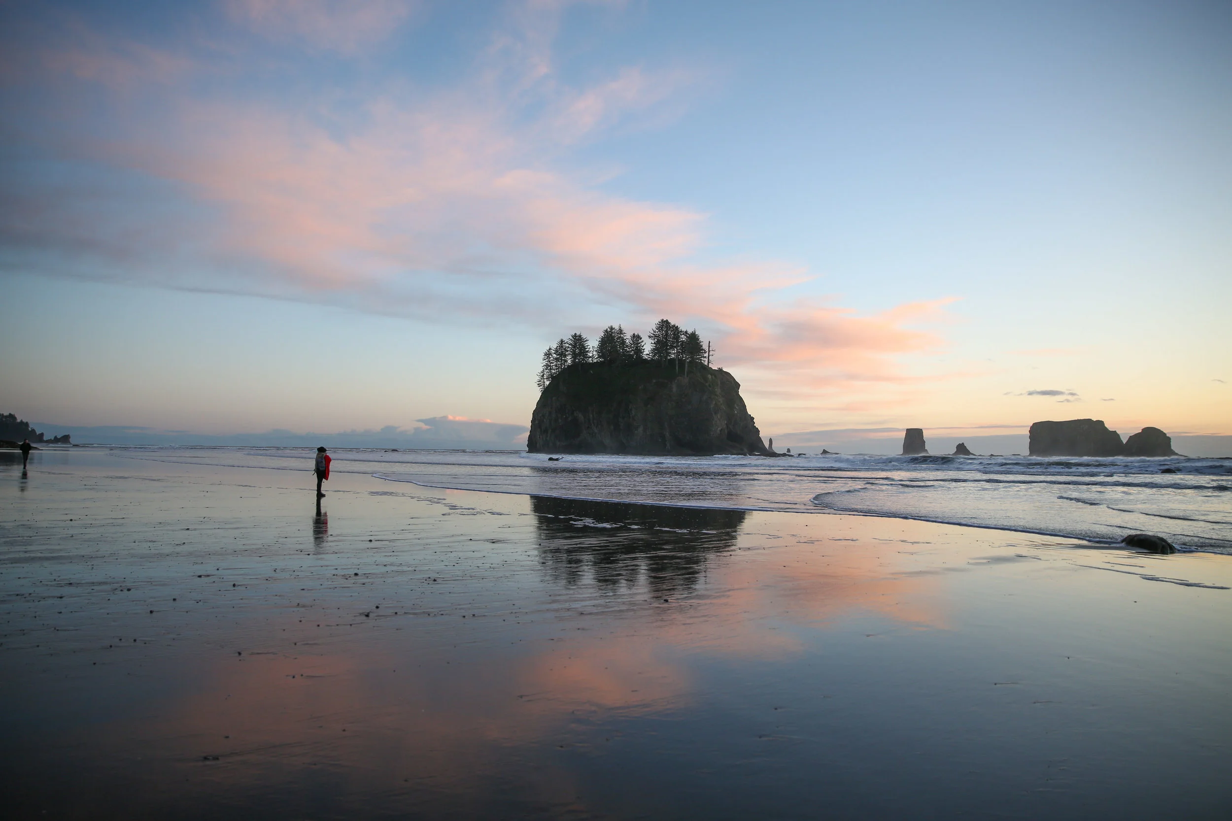 PNW (2 of 7).jpg