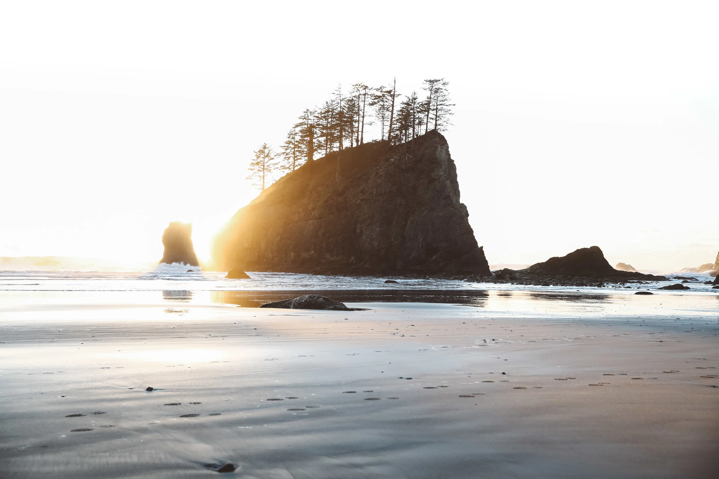 PNW (1 of 7).jpg