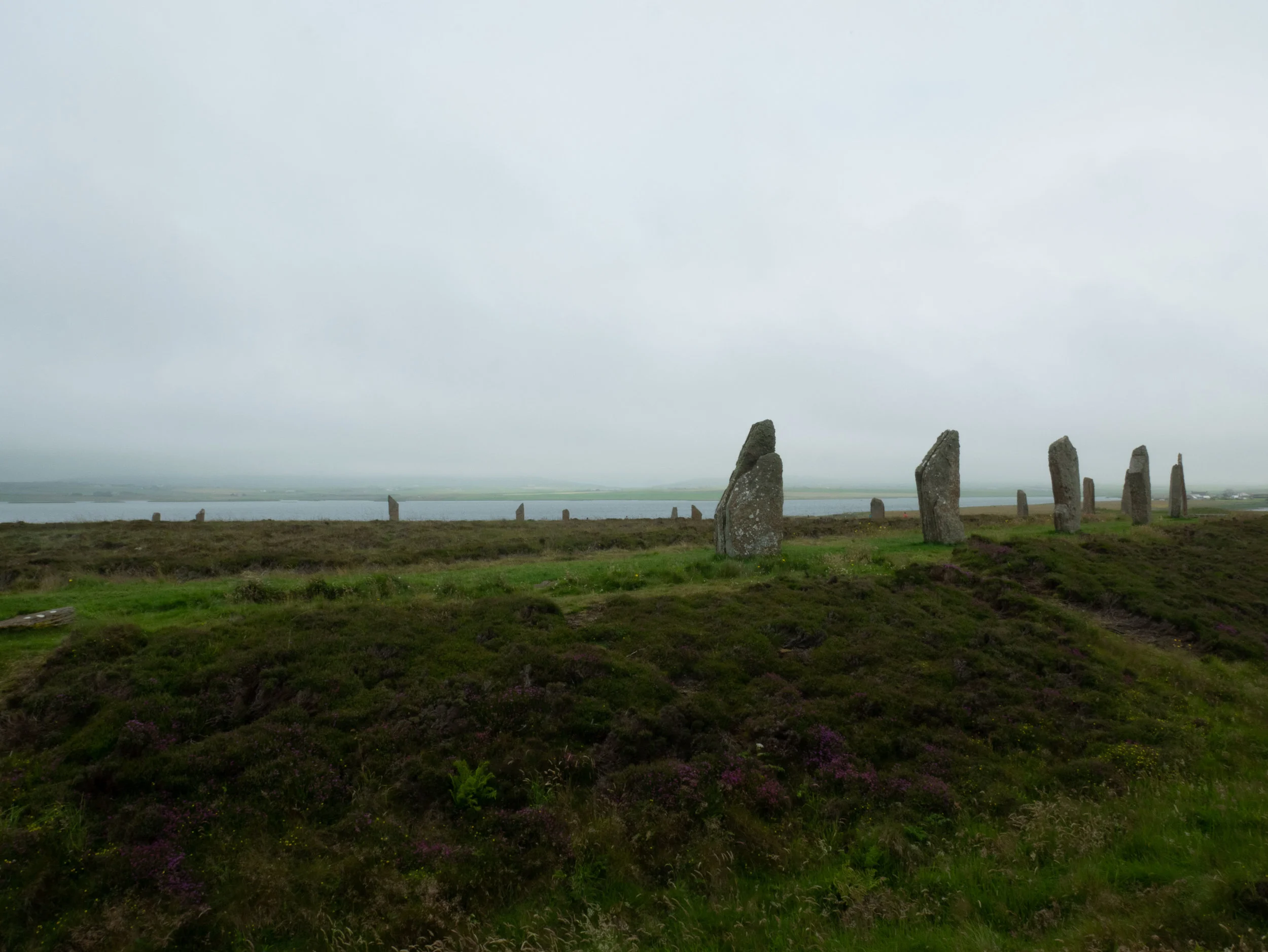 De hade också väldigt stora stenar i prydliga ringar. Det här är Ring of Brodgar. Till skillnad från de stående stenarna i Stenness (se nedan) så är det svårt att datera den här ringen eller ta reda på hur den kan ha använts eftersom det inte finns något att mäta, gräva fram och undersöka. I Stenness finns det spår av eldar, matlagning och annat som tyder på att människor har hållit till där men i och kring Ring och Brodgar är det helt tomt.