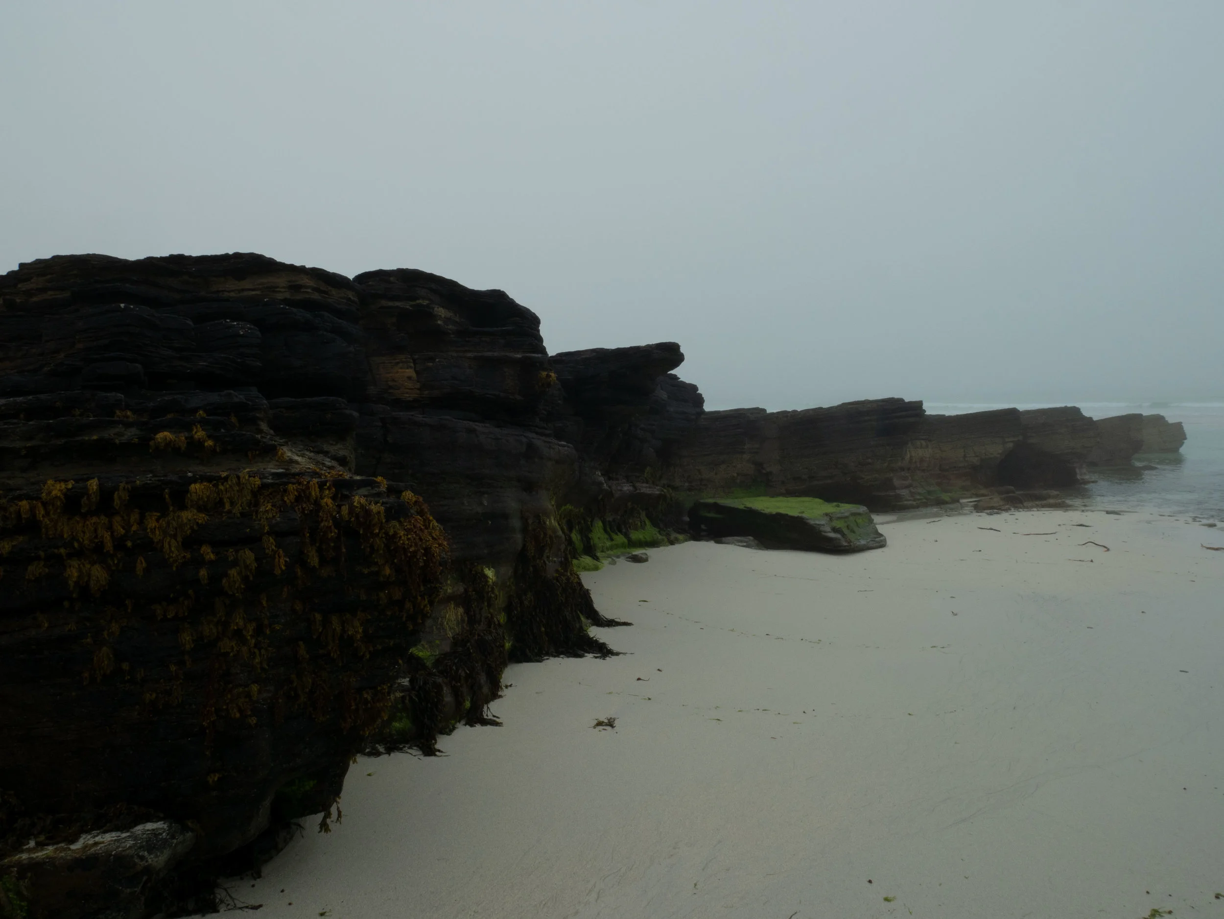 P1080203.jpg