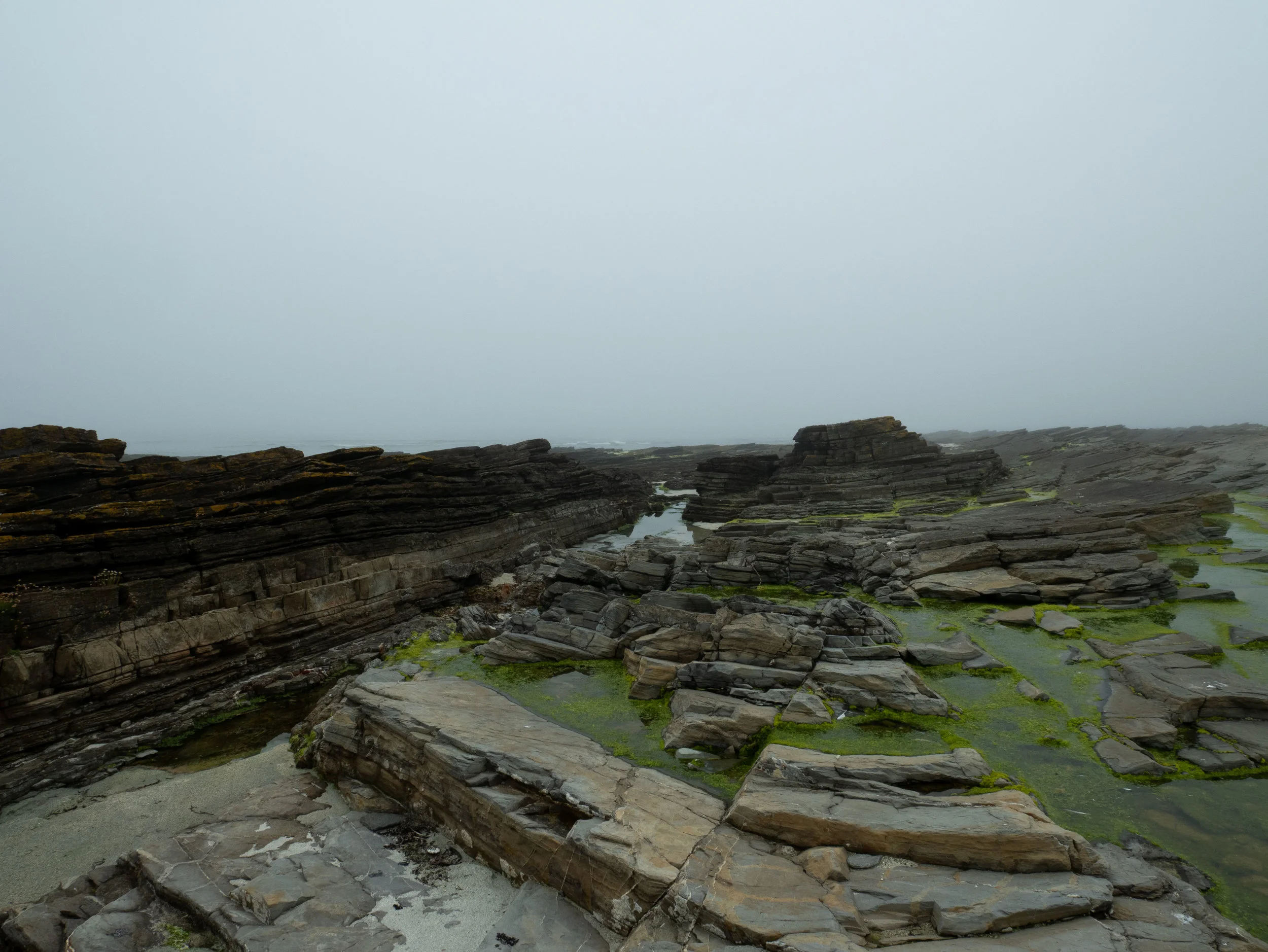 P1080239.jpg