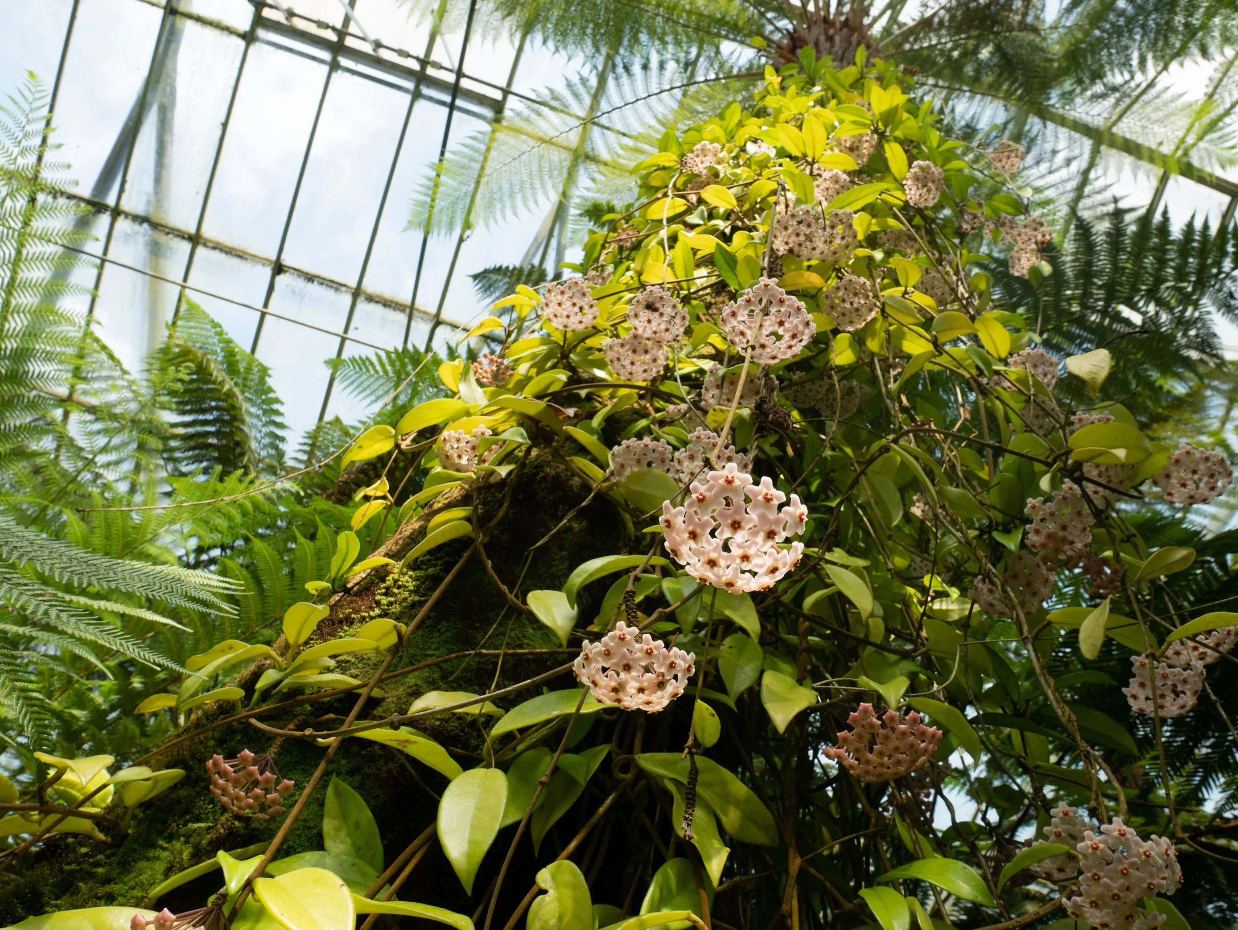 P1080542.jpg