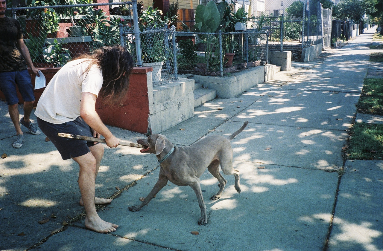 tumblr_niyp2nSAMz1rrl0f5o2_1280.jpg