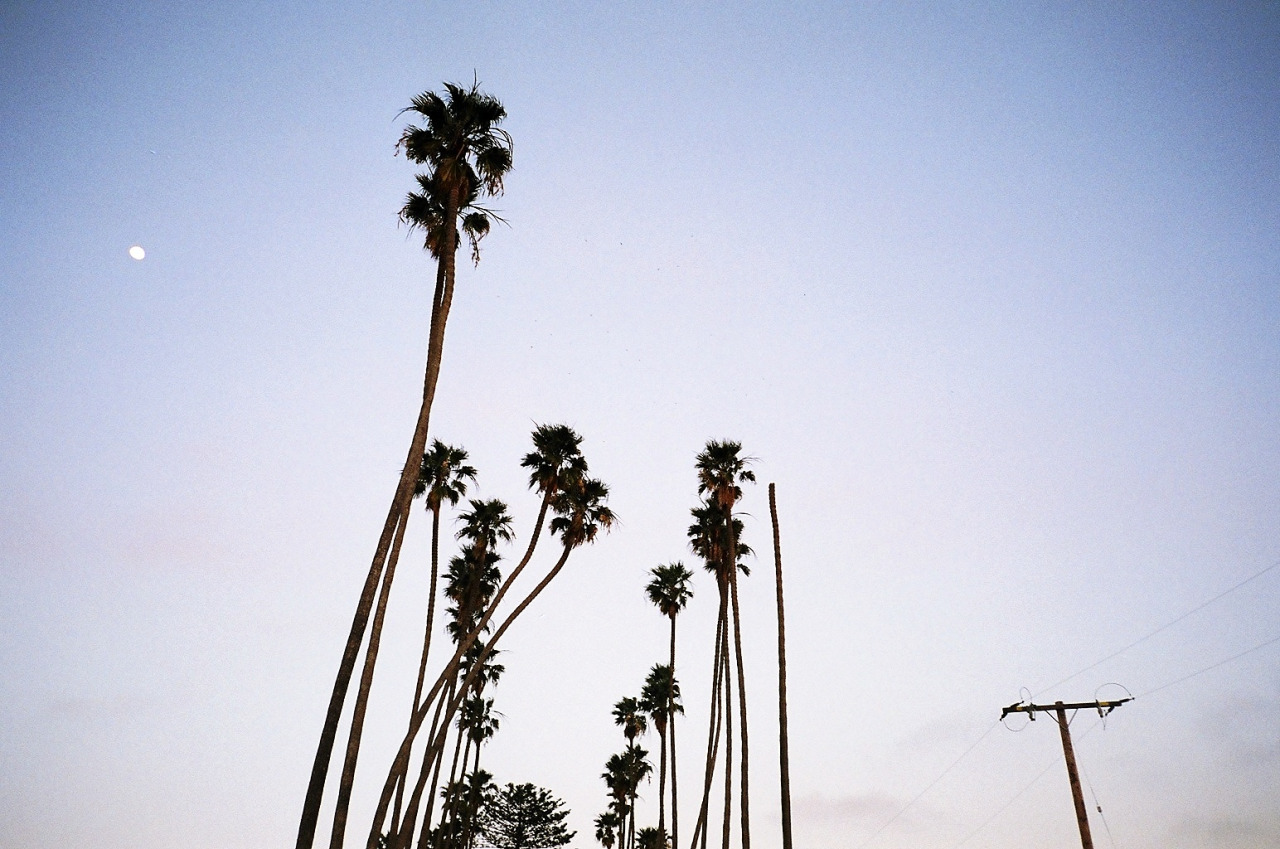 tumblr_nhgxo7y0Sg1rrl0f5o1_1280.jpg