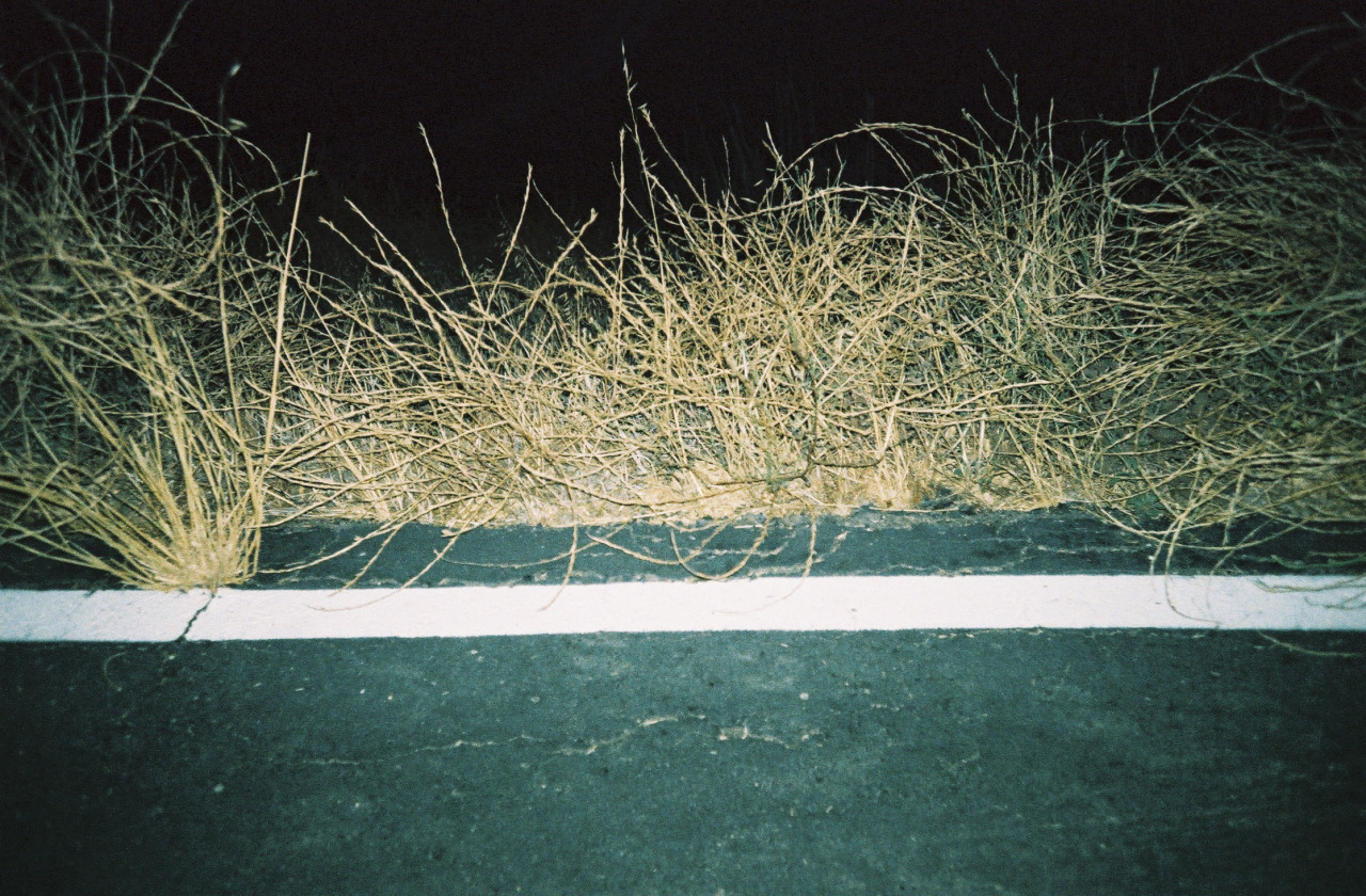 tumblr_nhgdktYrtc1rrl0f5o6_1280.jpg