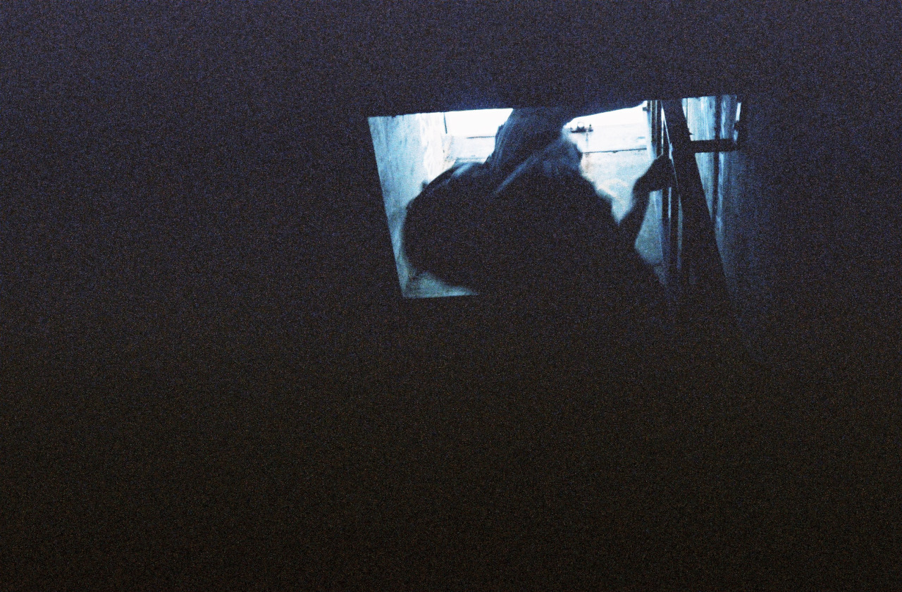 tumblr_nhgdktYrtc1rrl0f5o2_1280.jpg