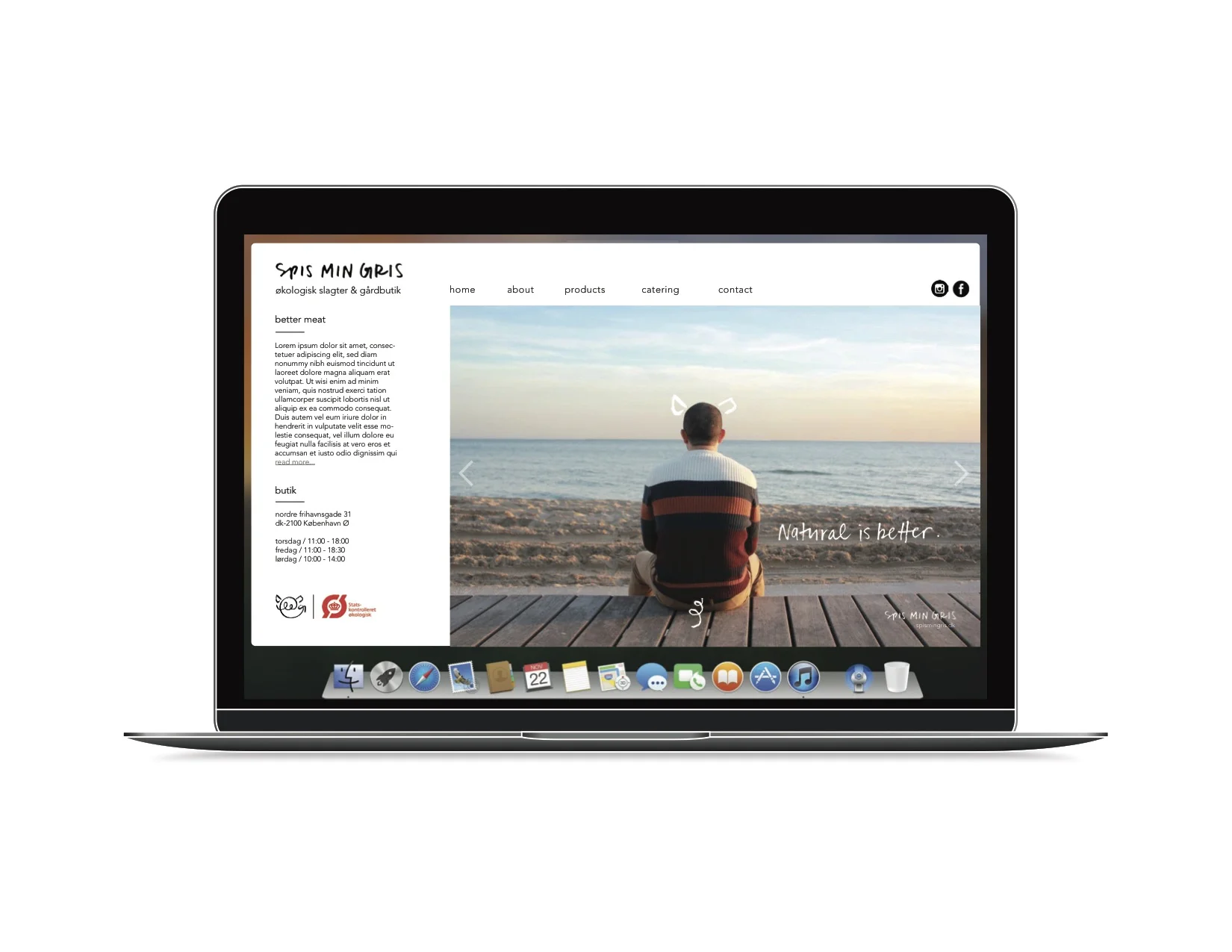 website2.jpg