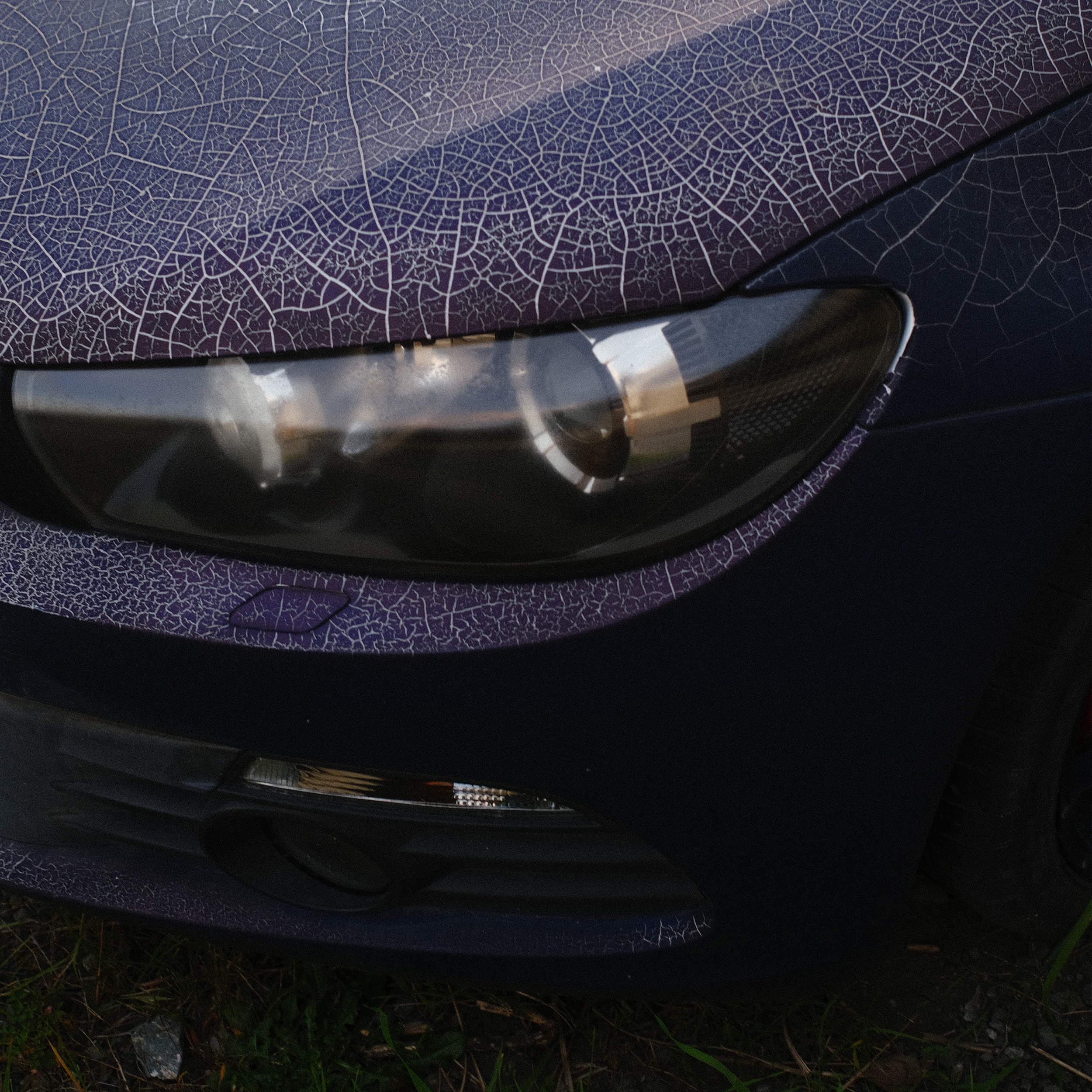 DING THE MOTOR.png