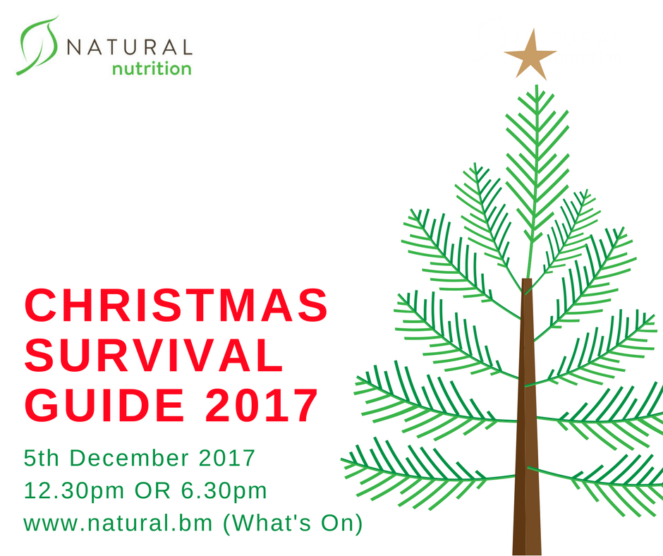 Christmas Survival Guide 2017