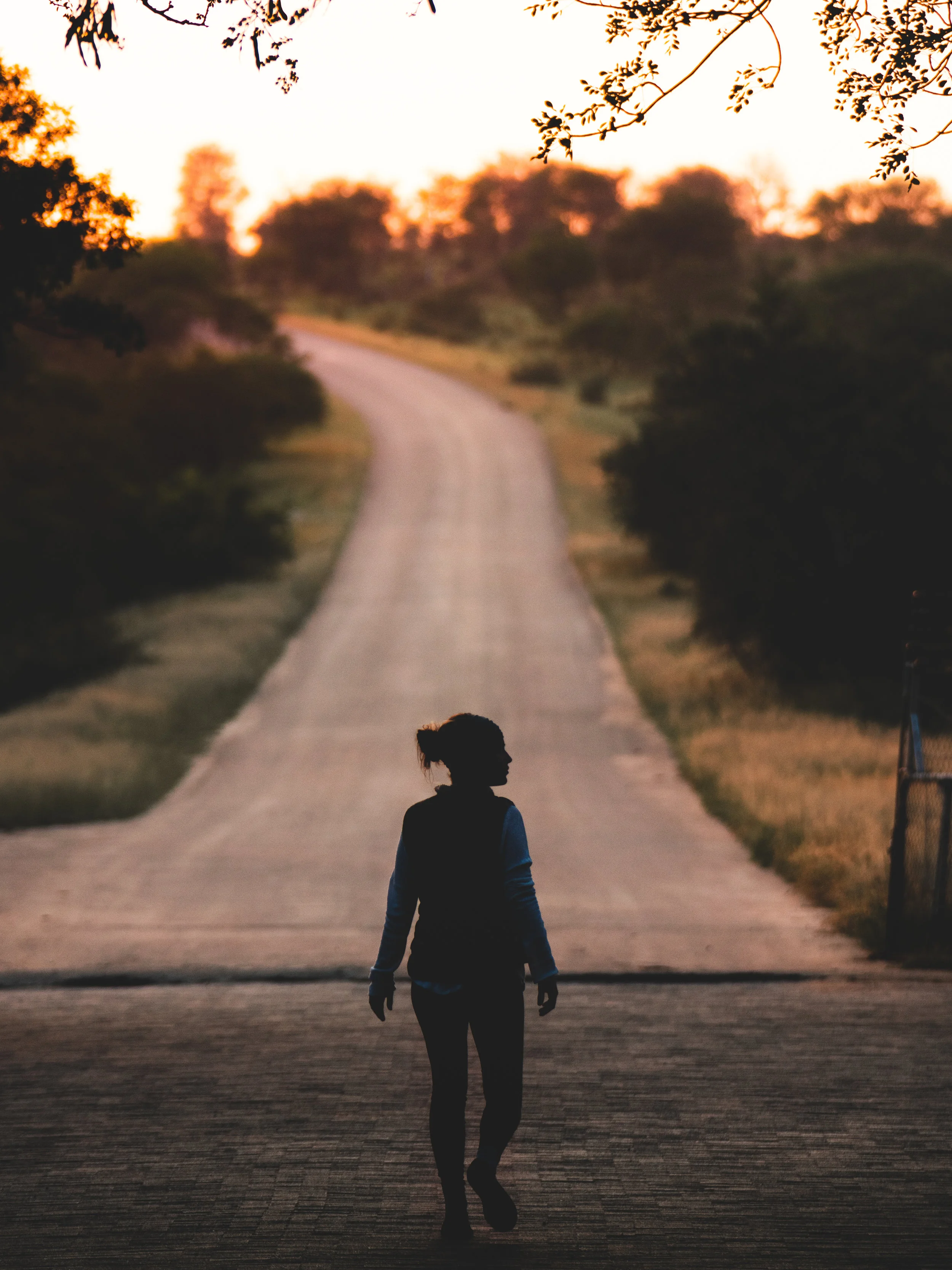 Road Less Traveled_1.jpg