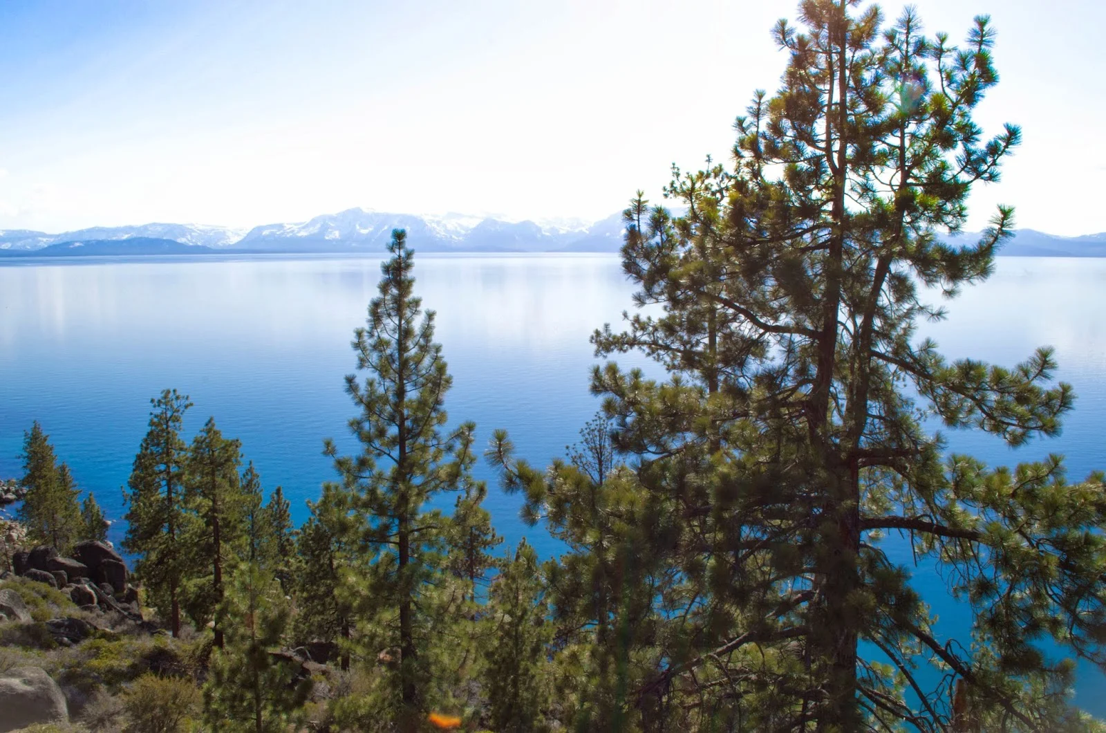 ExploreBackyard_5.jpg