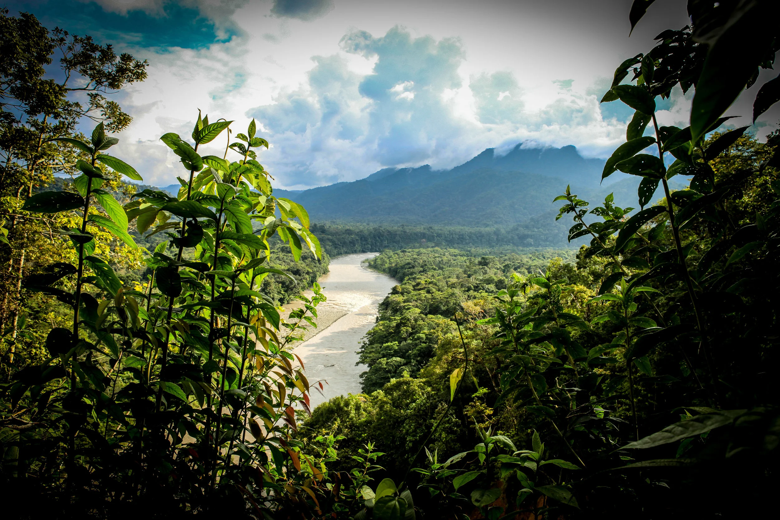 Ecuador-49.jpg
