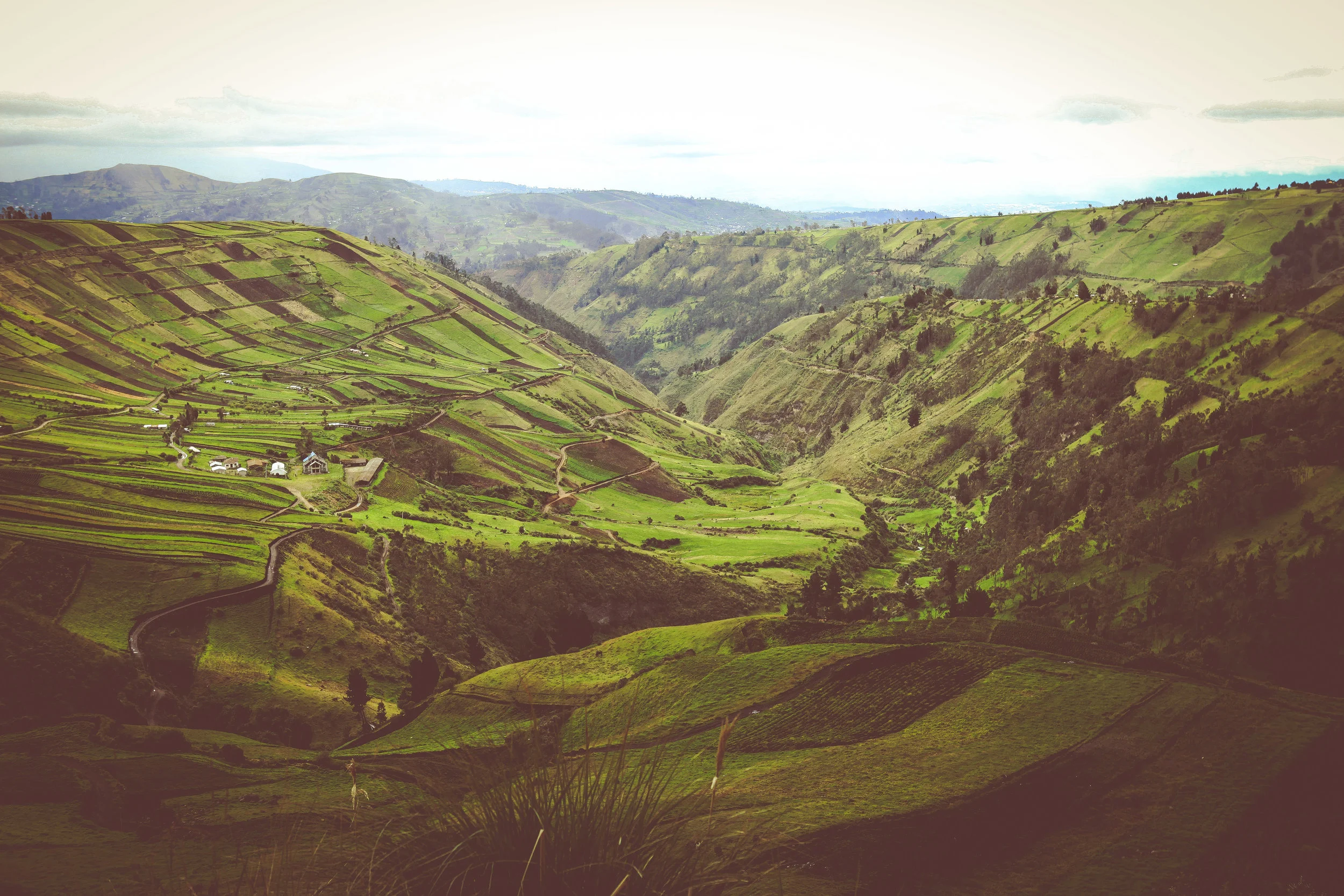 Ecuador-134.jpg