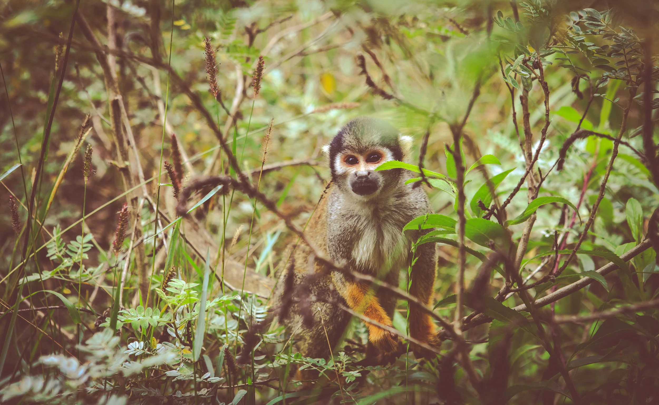 Ecuador-325.jpg
