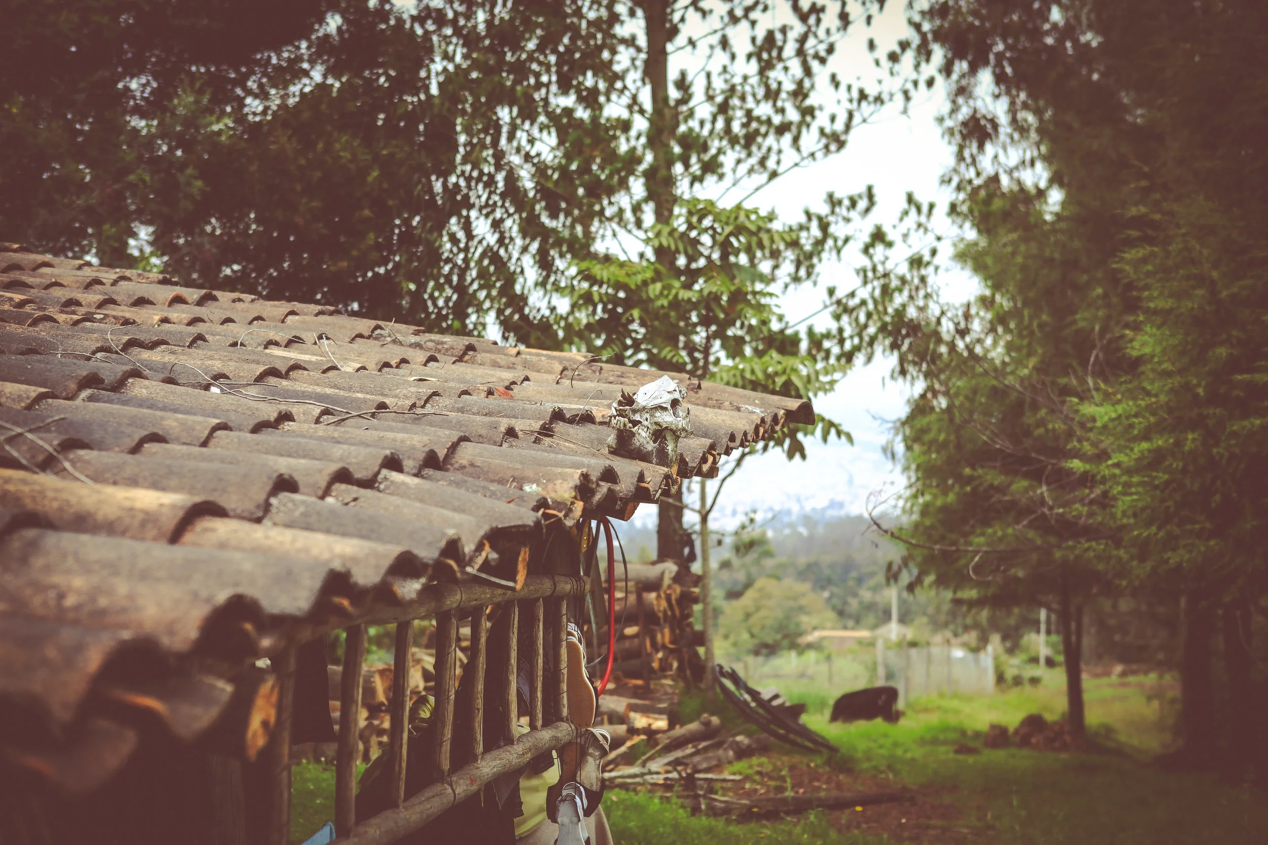 Ecuador-408.jpg