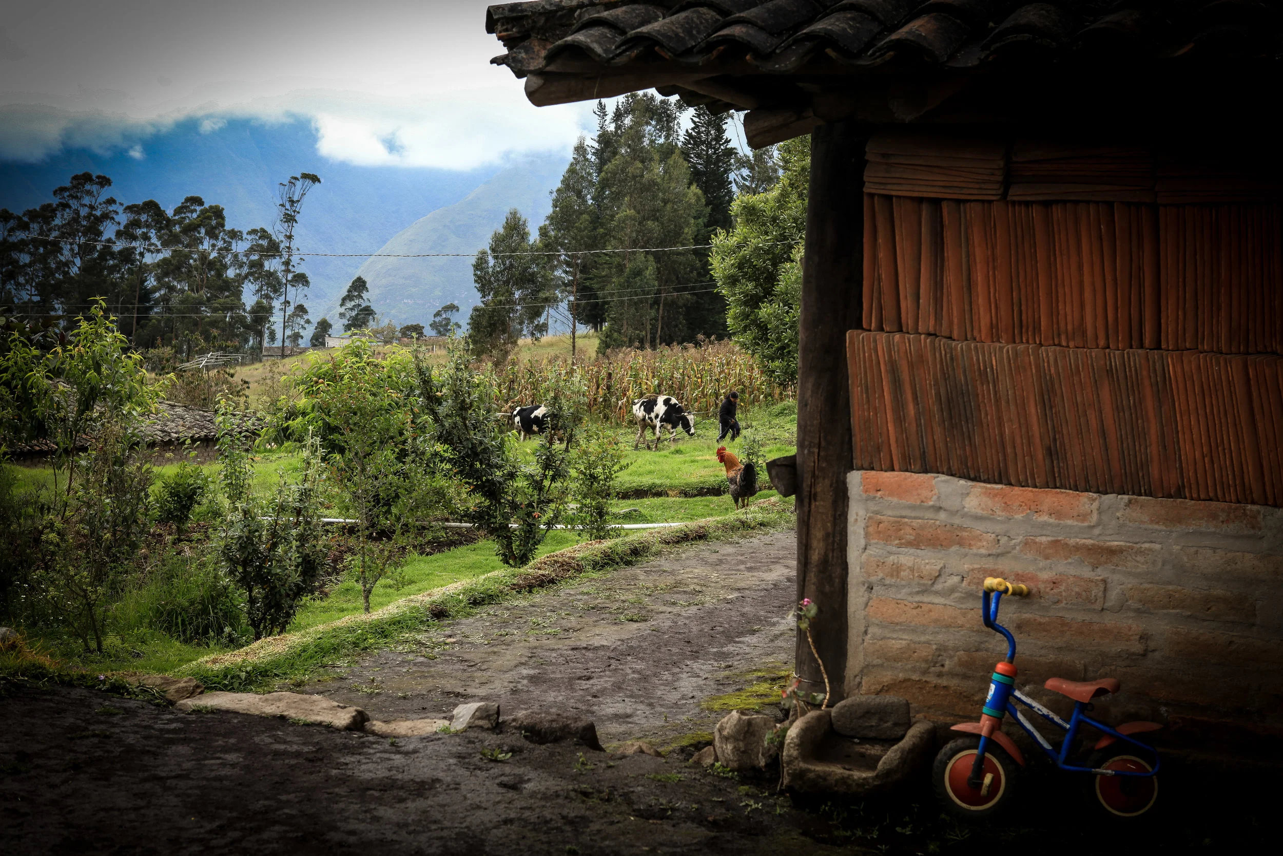 Ecuador-482.jpg